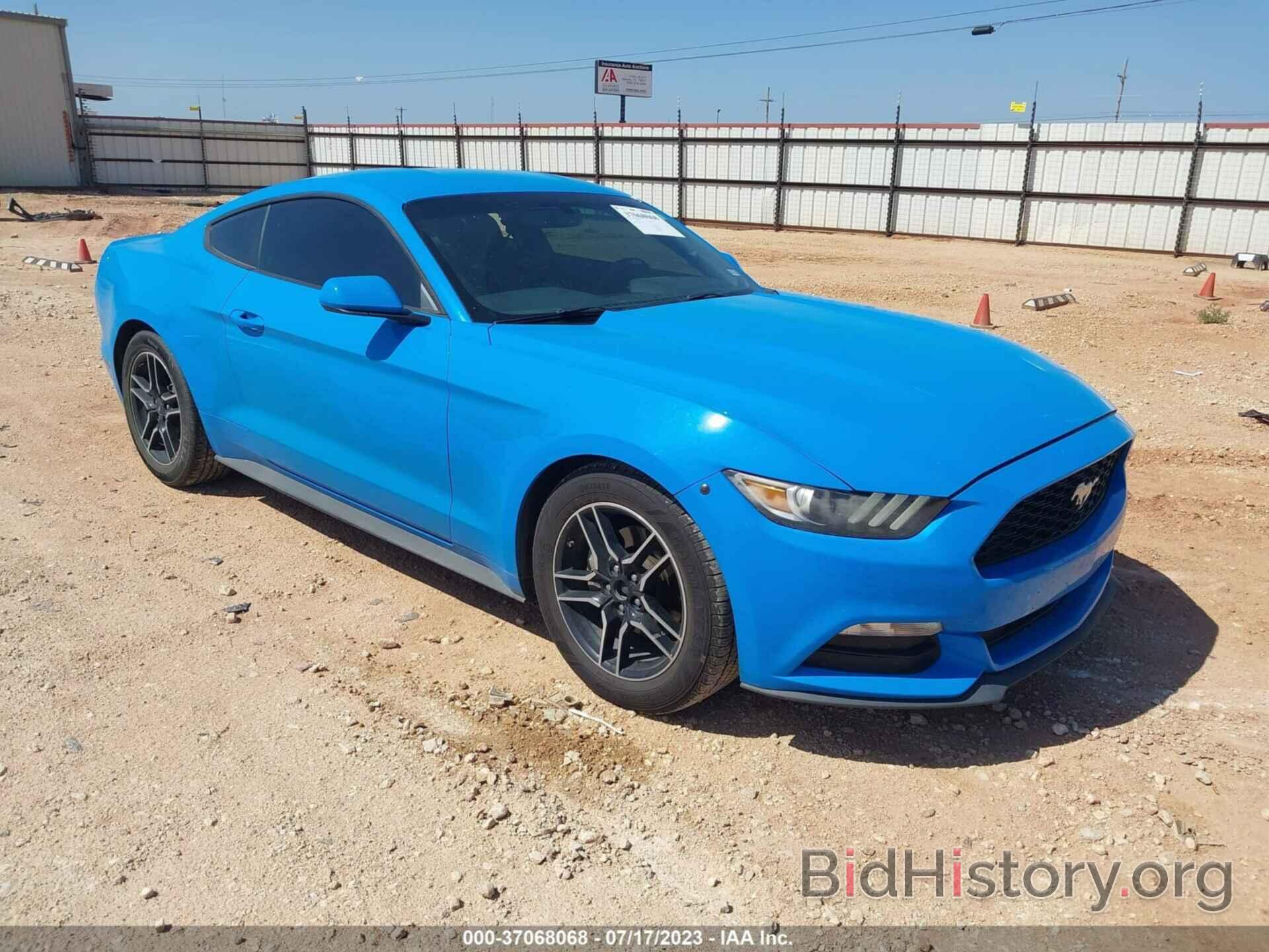 Photo 1FA6P8AM8H5263363 - FORD MUSTANG 2017
