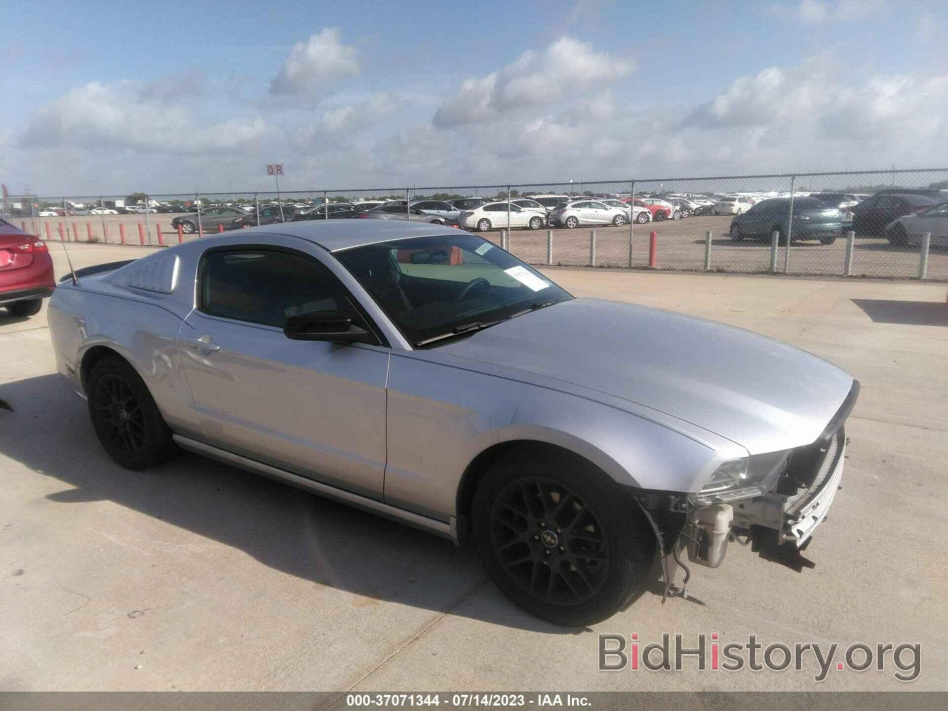 Photo 1ZVBP8AM1E5230884 - FORD MUSTANG 2014