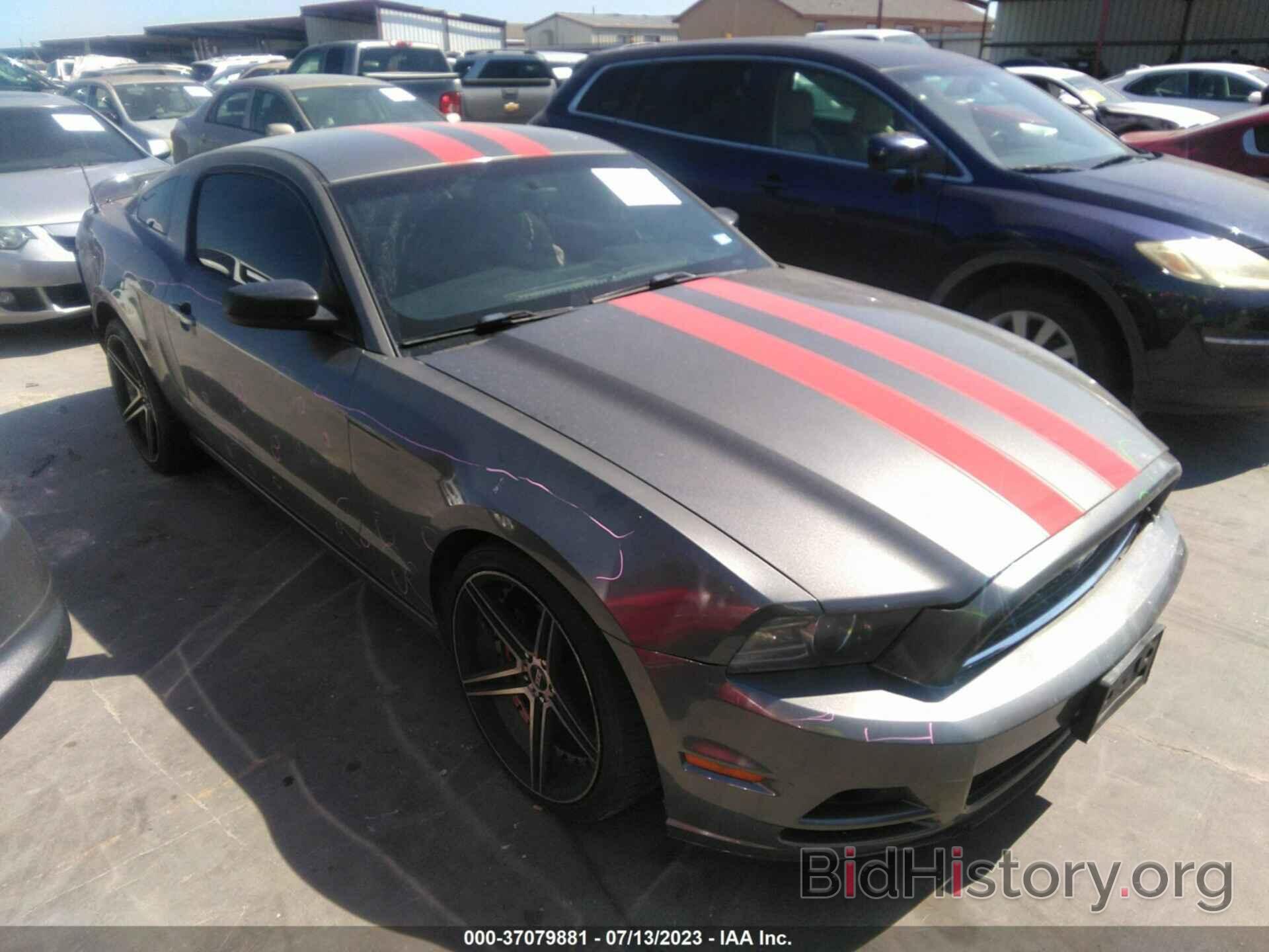 Photo 1ZVBP8AM4D5271430 - FORD MUSTANG 2013