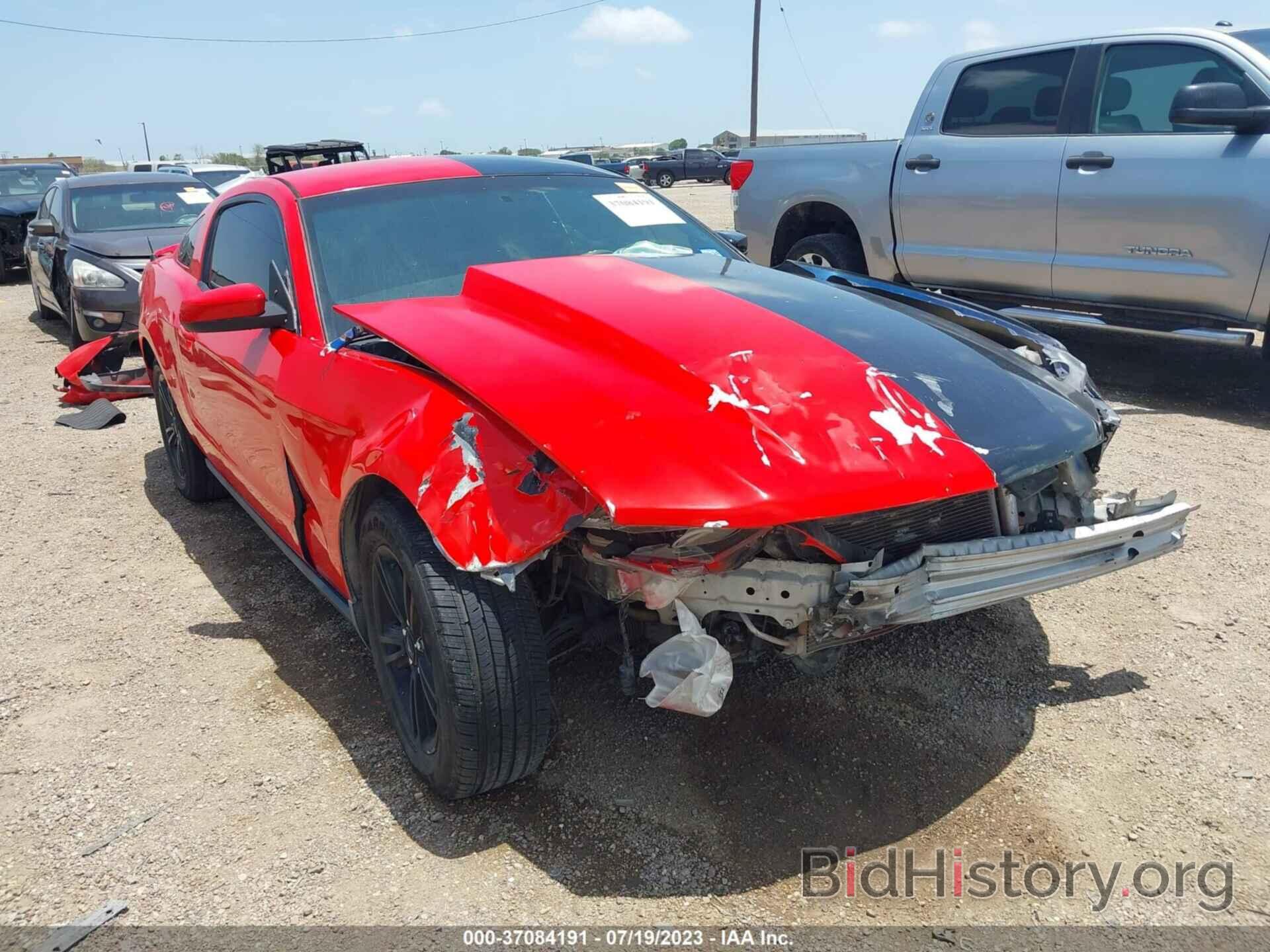 Photo 1ZVBP8AM2B5131390 - FORD MUSTANG 2011