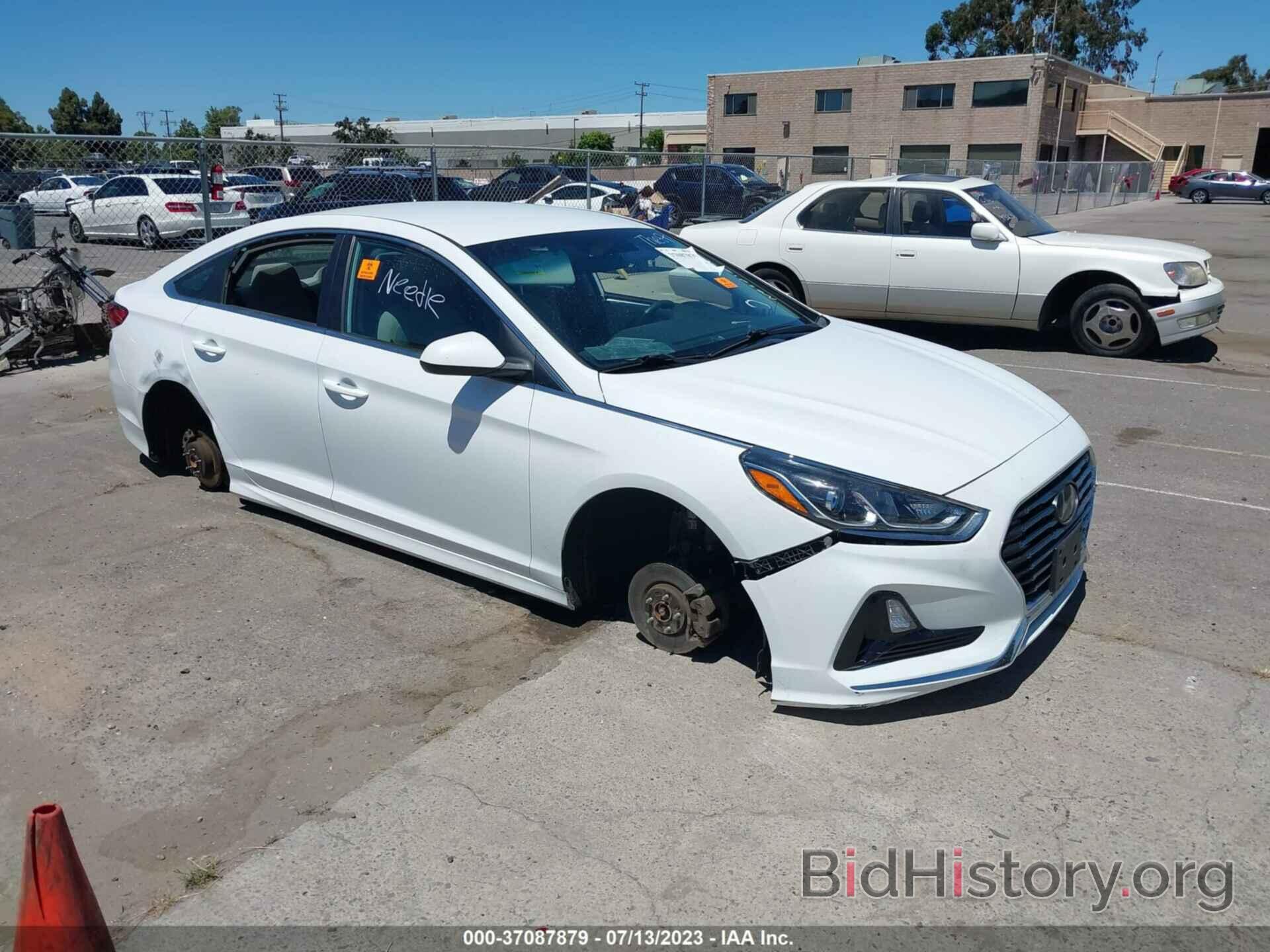 Photo 5NPE24AF0KH801348 - HYUNDAI SONATA 2019