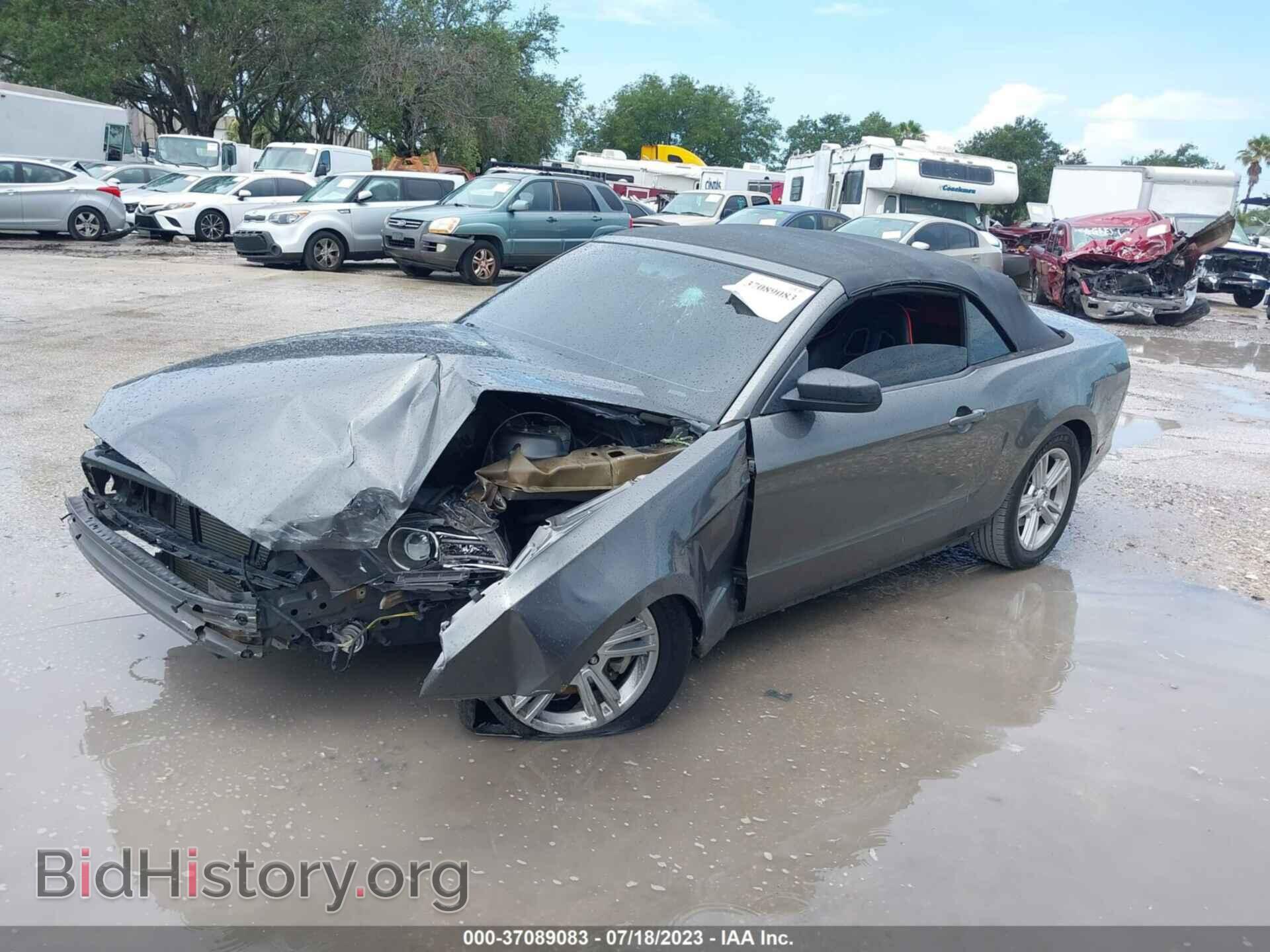 2013 FORD MUSTANG - VIN: 1ZVBP8EM8D5237341 - Фото 2