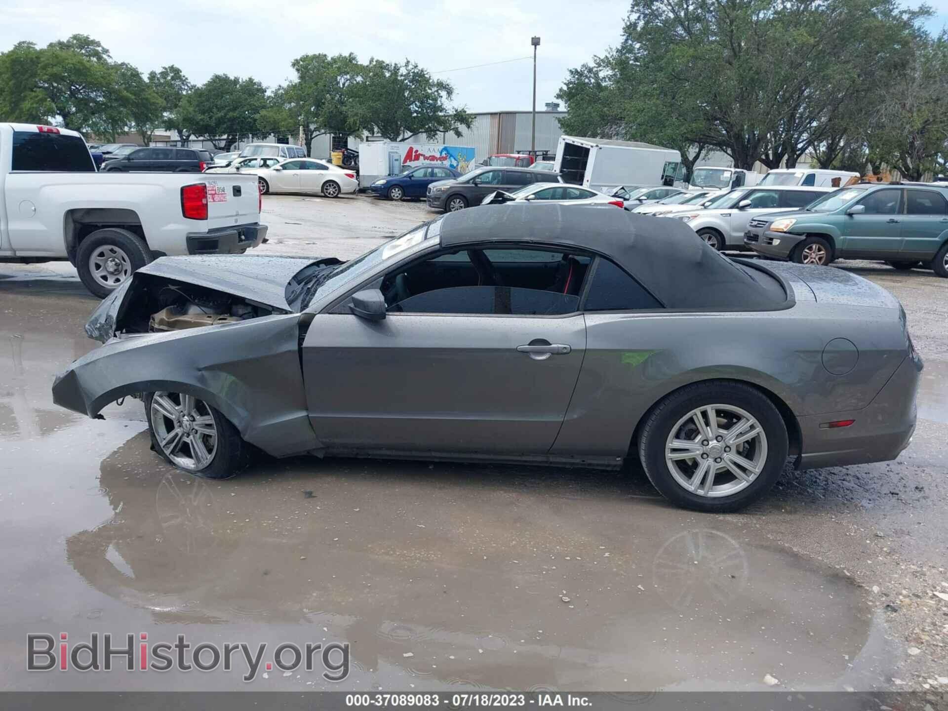 2013 FORD MUSTANG - VIN: 1ZVBP8EM8D5237341 - Фото 14