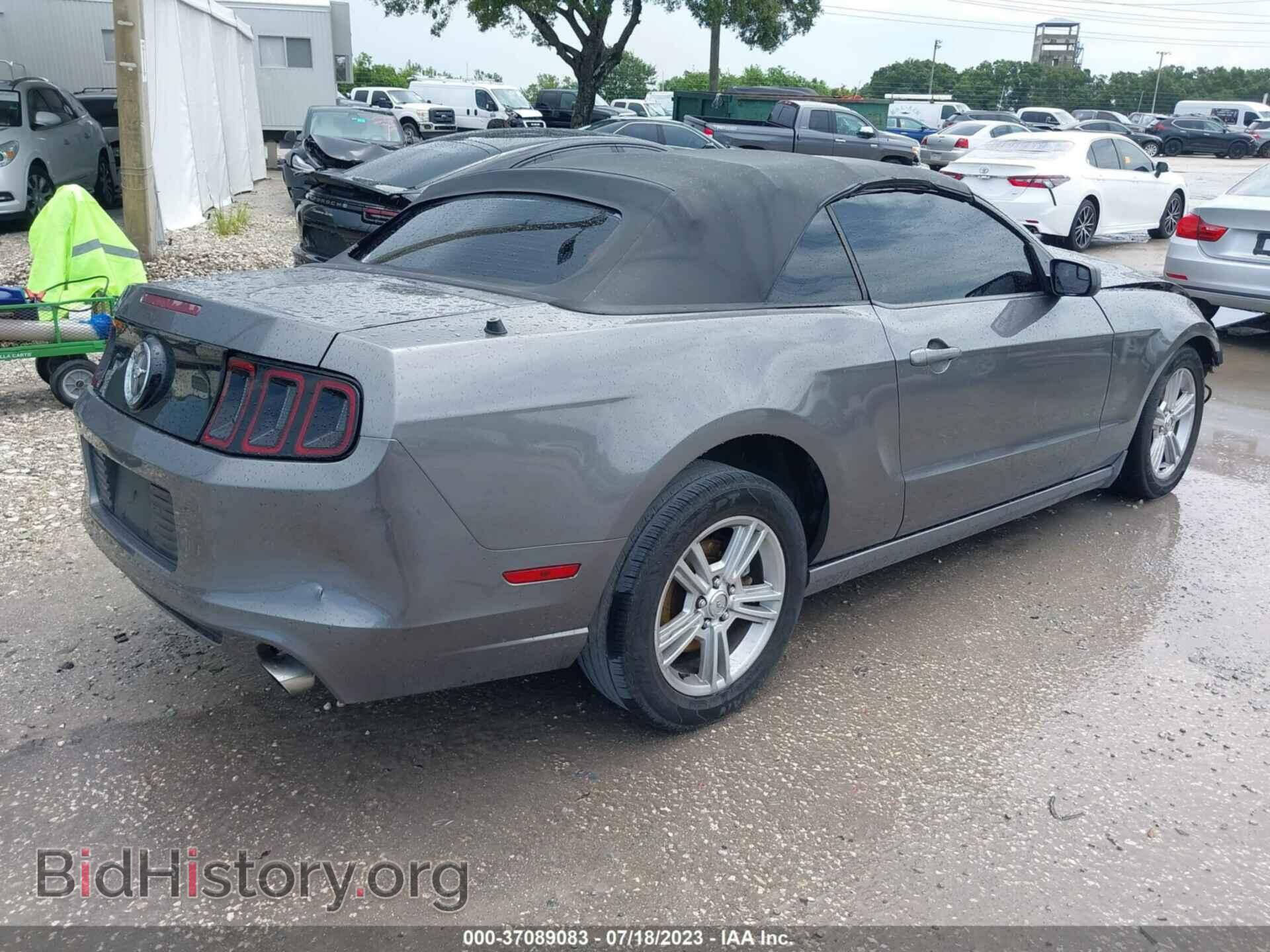 2013 FORD MUSTANG - VIN: 1ZVBP8EM8D5237341 - Фото 4