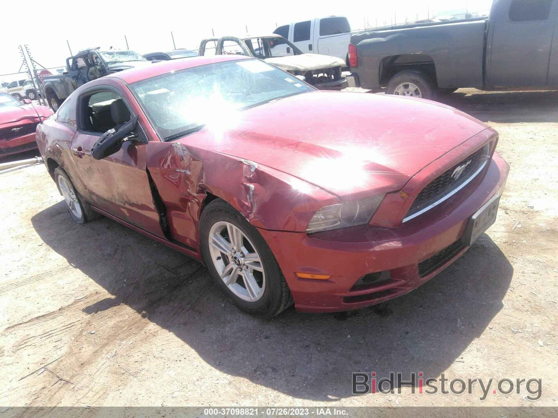 Photo 1ZVBP8AM0E5314033 - FORD MUSTANG 2014