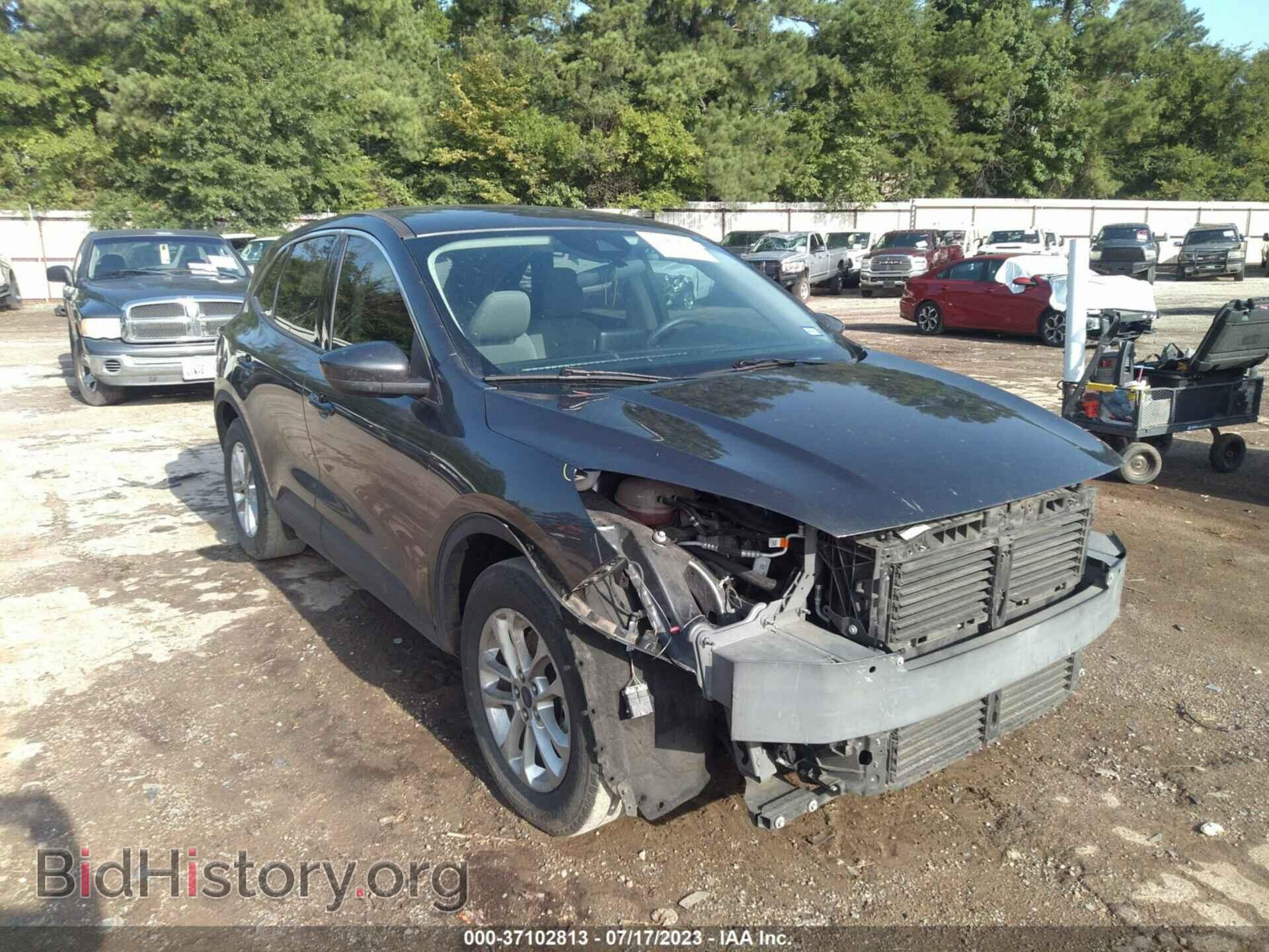 Photo 1FMCU0G61LUA54816 - FORD ESCAPE 2020