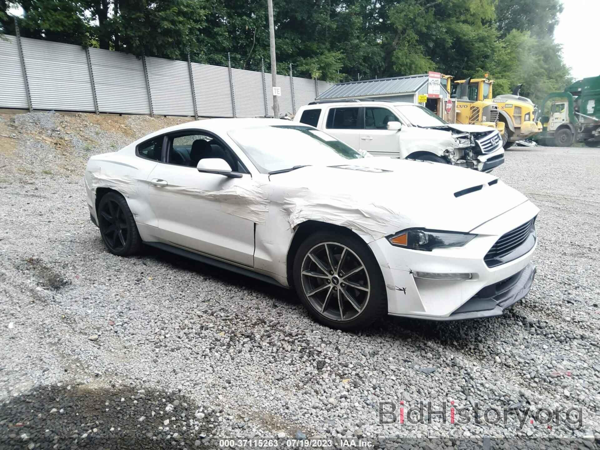 Photo 1FA6P8TH6K5163379 - FORD MUSTANG 2019
