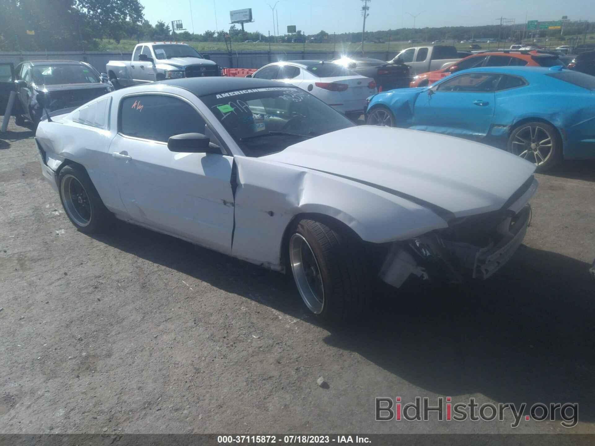 Photo 1ZVBP8AM4E5233875 - FORD MUSTANG 2014