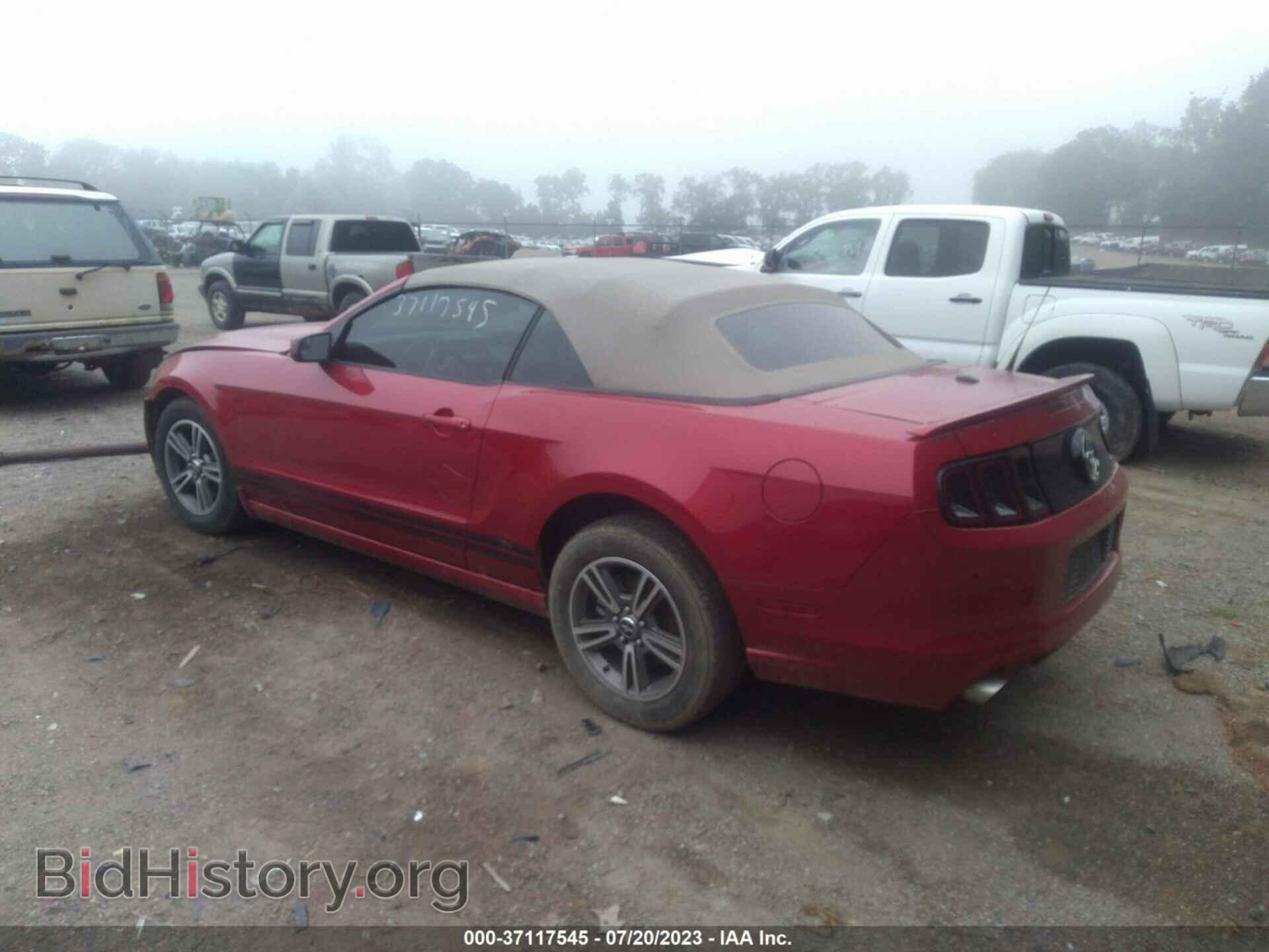 2013 FORD MUSTANG - VIN: 1ZVBP8EMXD5227152 - Фото 3