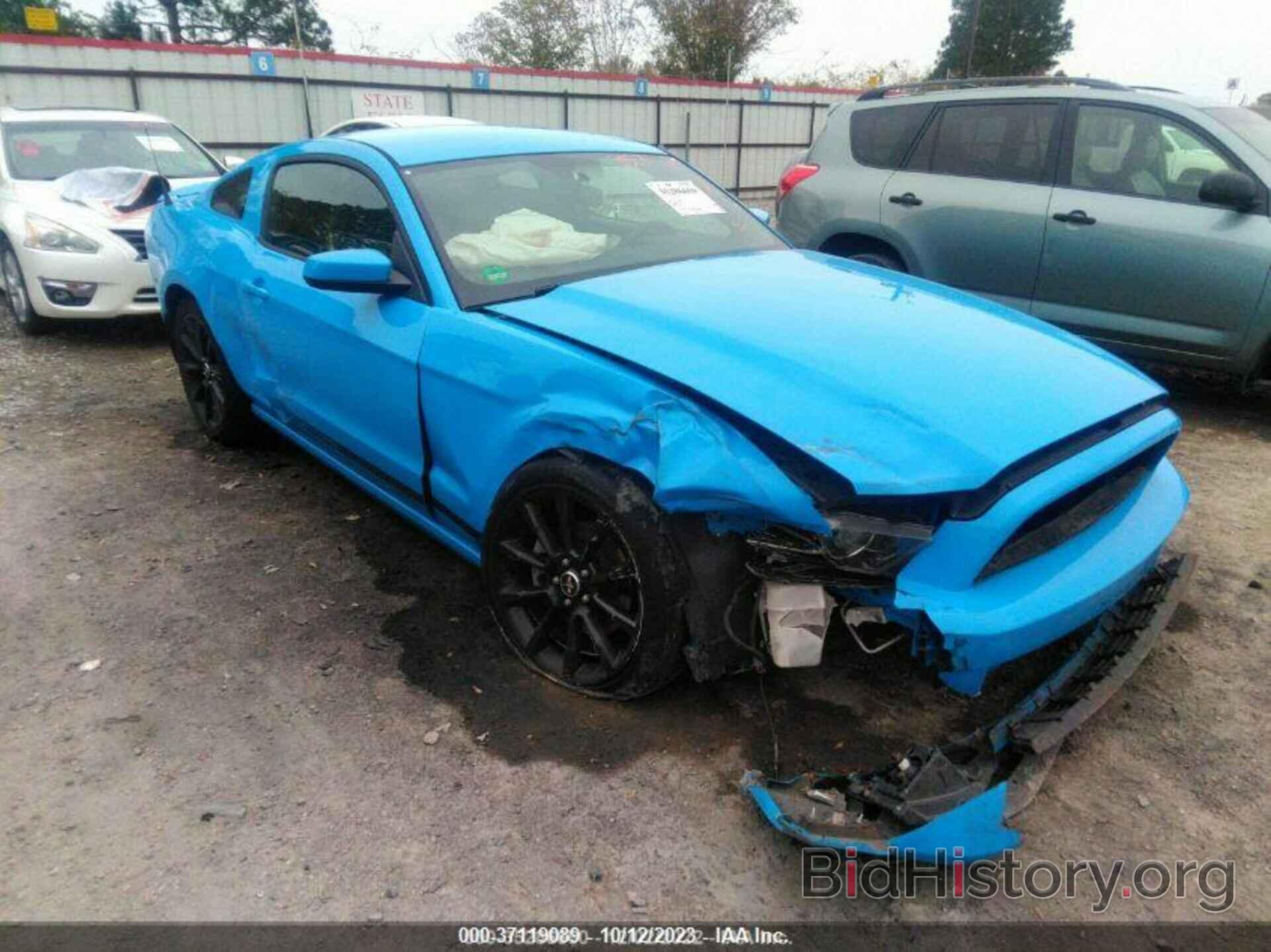 Photo 1ZVBP8AM1D5206812 - FORD MUSTANG 2013