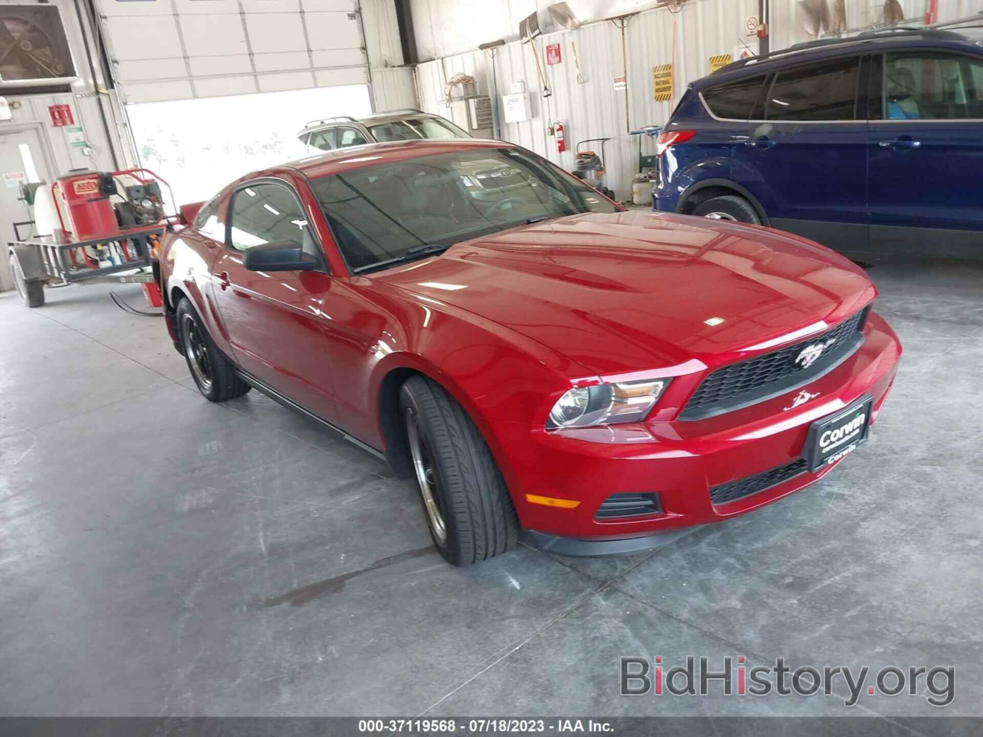 Photo 1ZVBP8AM1C5240005 - FORD MUSTANG 2012