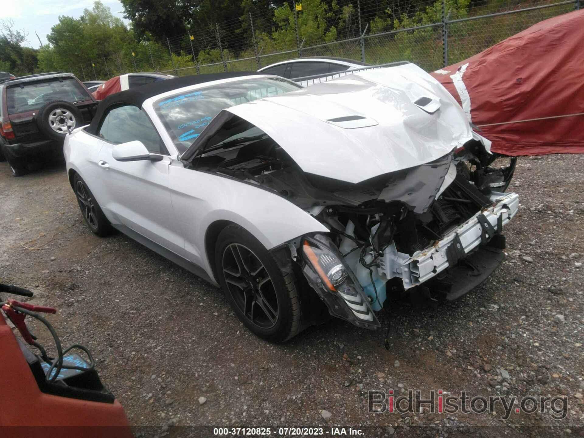 Photo 1FATP8UH9M5102337 - FORD MUSTANG 2021