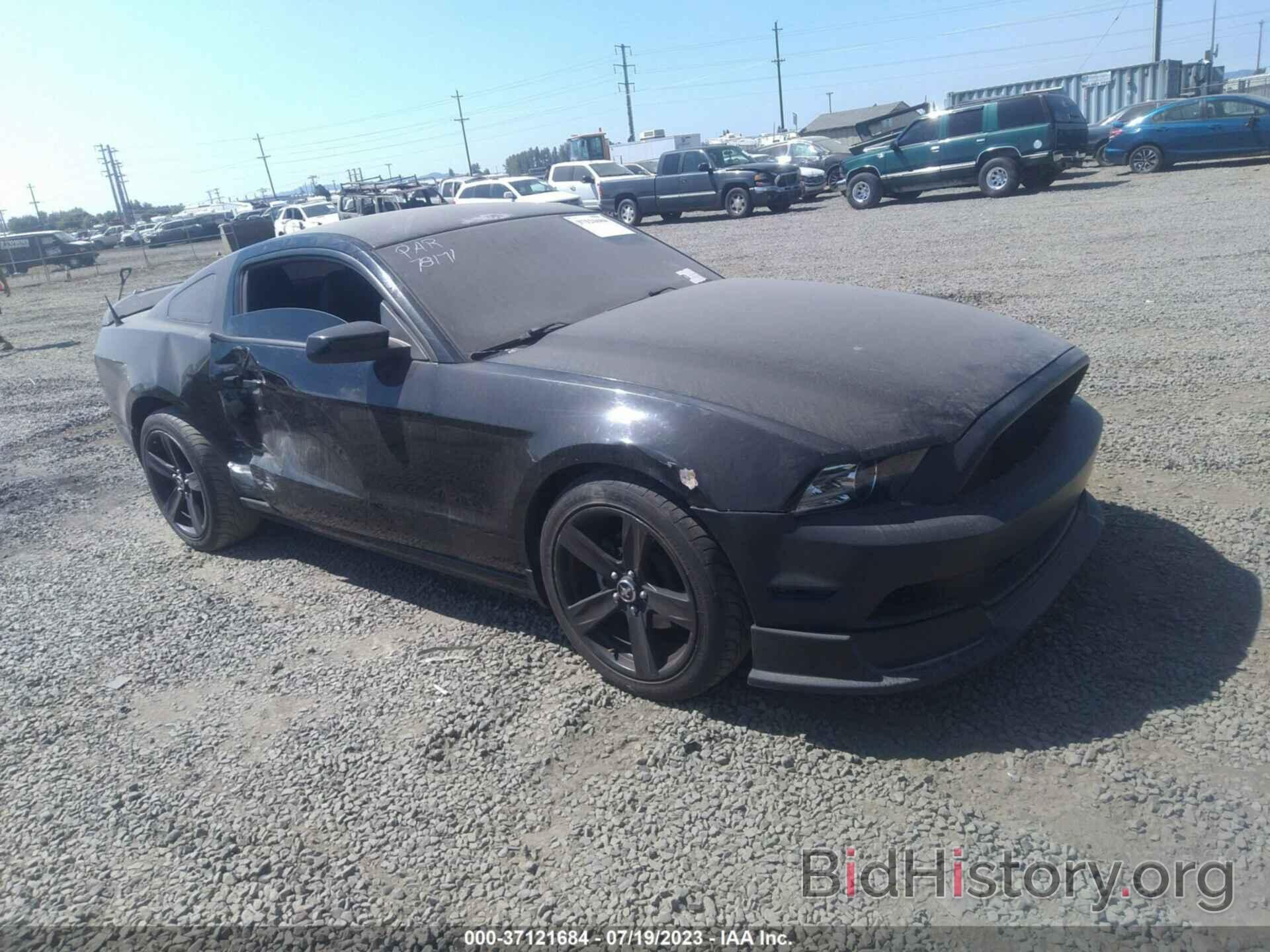 Photo 1ZVBP8AMXD5236293 - FORD MUSTANG 2013