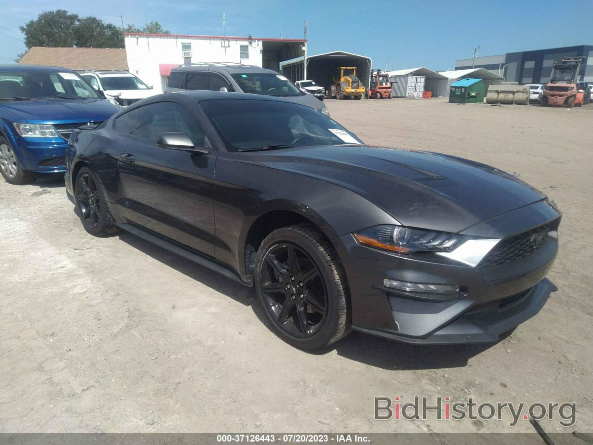 Photo 1FA6P8TH8K5180569 - FORD MUSTANG 2019