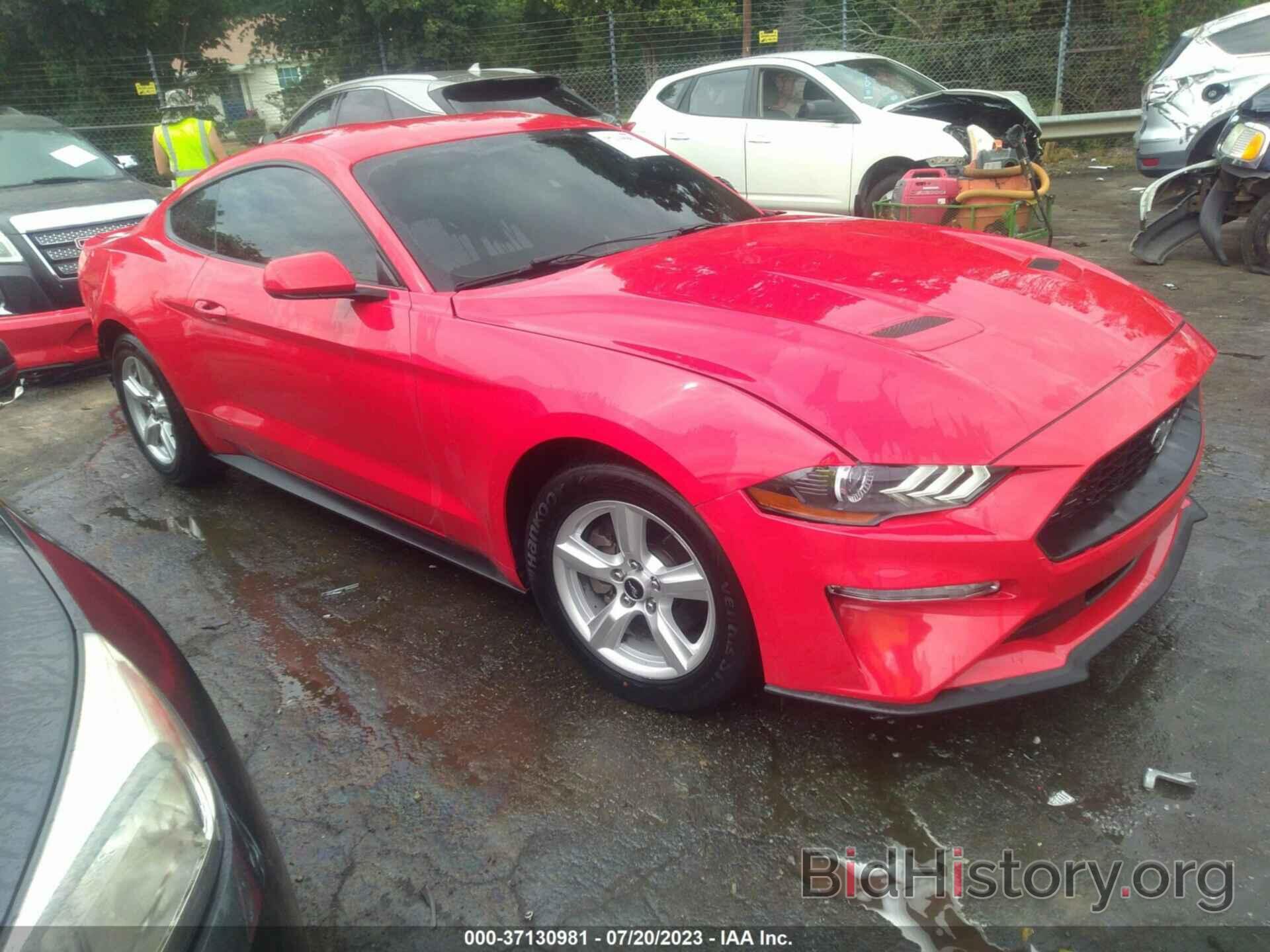 Photo 1FA6P8TH4K5147200 - FORD MUSTANG 2019