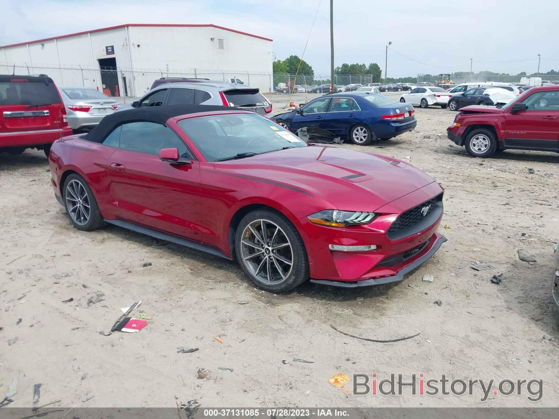 Photo 1FATP8UH8K5171565 - FORD MUSTANG 2019