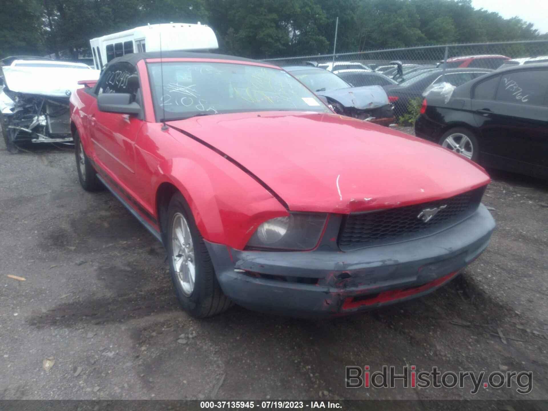 Photo 1ZVFT84N475353440 - FORD MUSTANG 2007