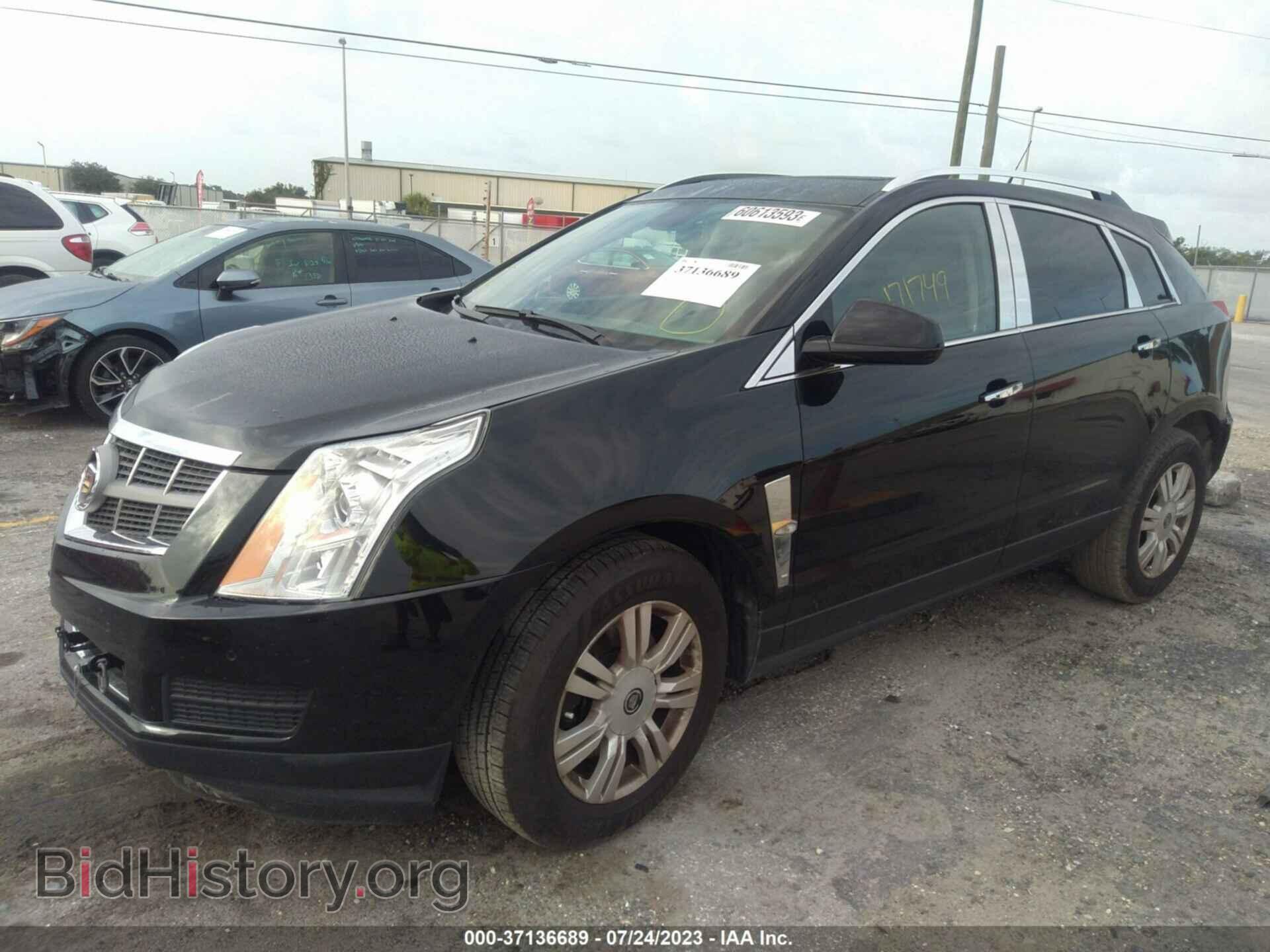 2010 CADILLAC SRX - VIN: 3GYFNDEY4AS640007 - Фото 2