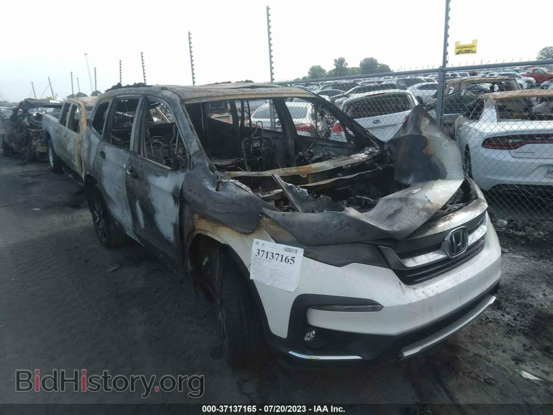 2019 HONDA PILOT - VIN: 5FNYF6H07KB012241 - Фото 6
