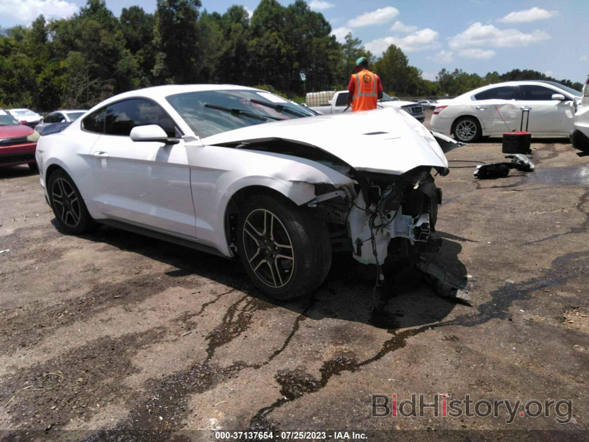 Photo 1FA6P8TH8K5124387 - FORD MUSTANG 2019