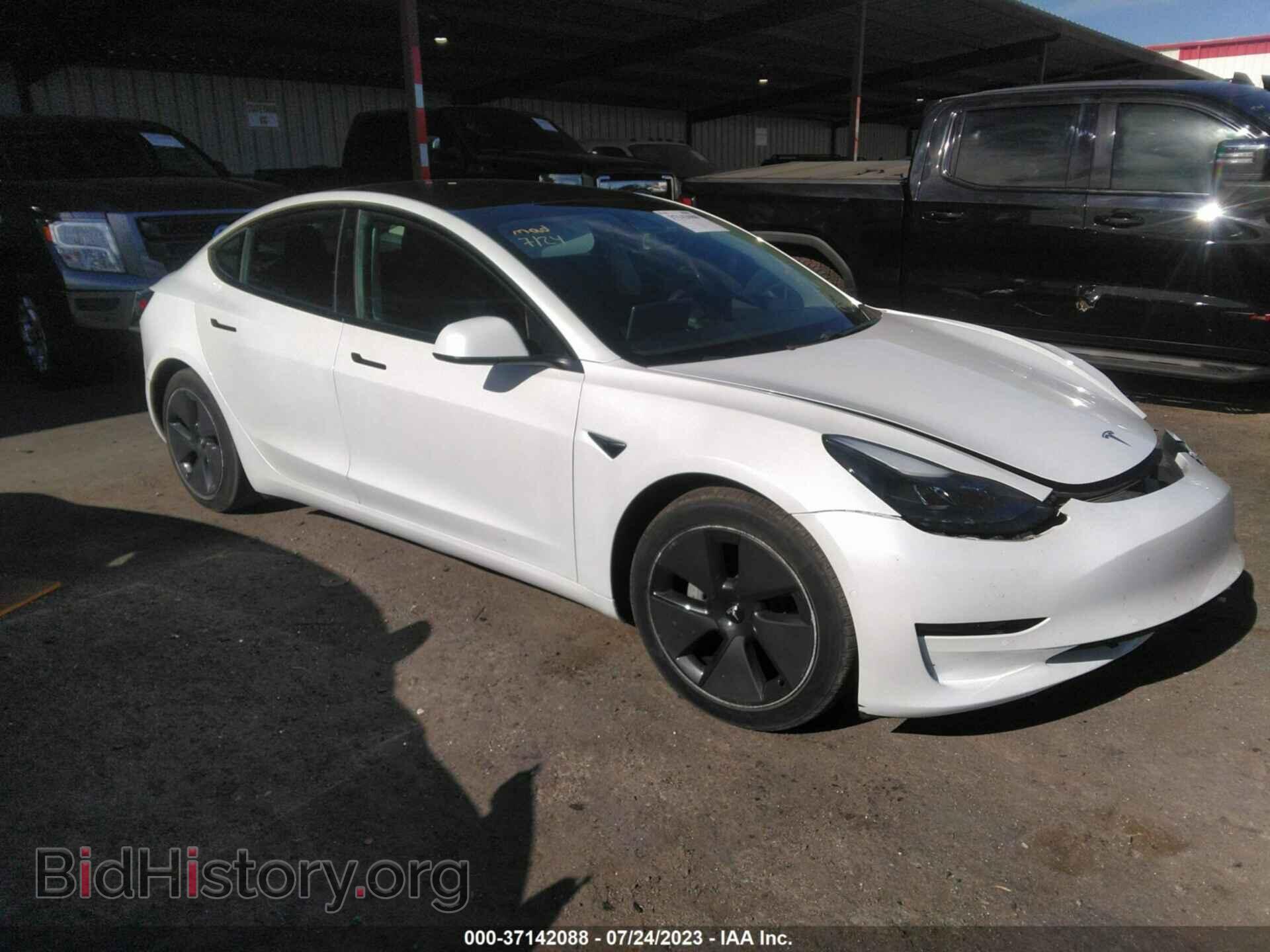 Photo 5YJ3E1EBXMF879092 - TESLA MODEL 3 2021
