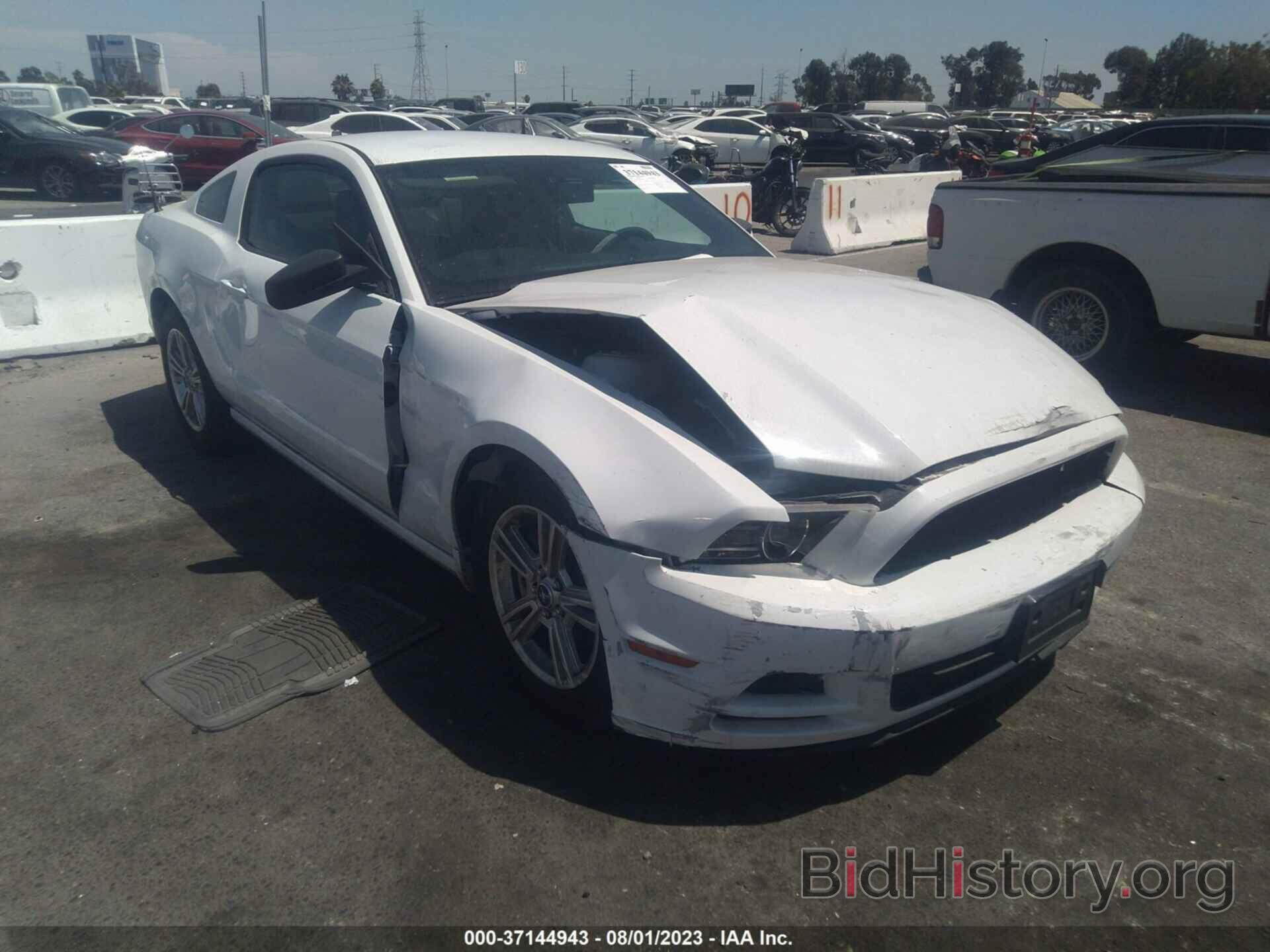 Photo 1ZVBP8AM8E5201477 - FORD MUSTANG 2014