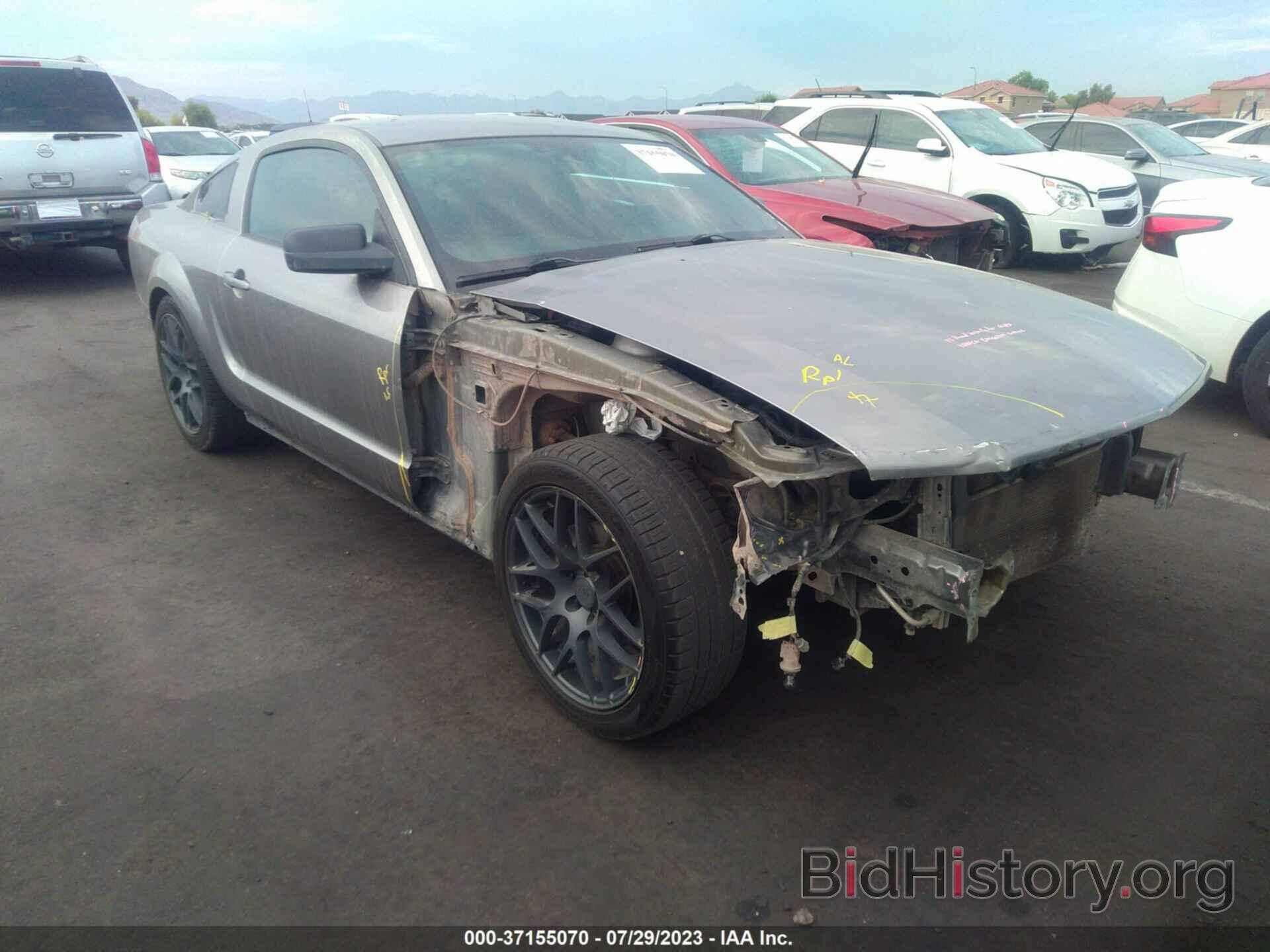 Photo 1ZVHT80N685119316 - FORD MUSTANG 2008