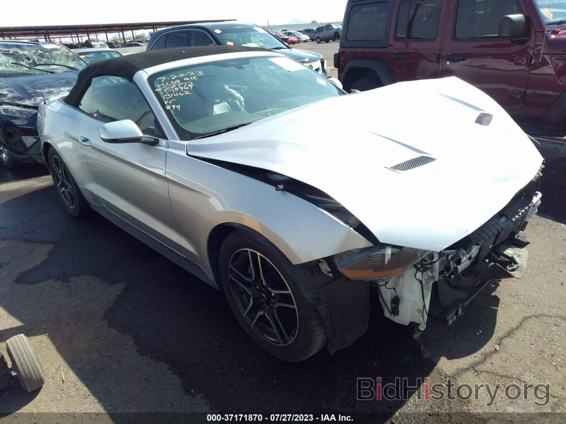 Photo 1FATP8UH7K5131462 - FORD MUSTANG 2019