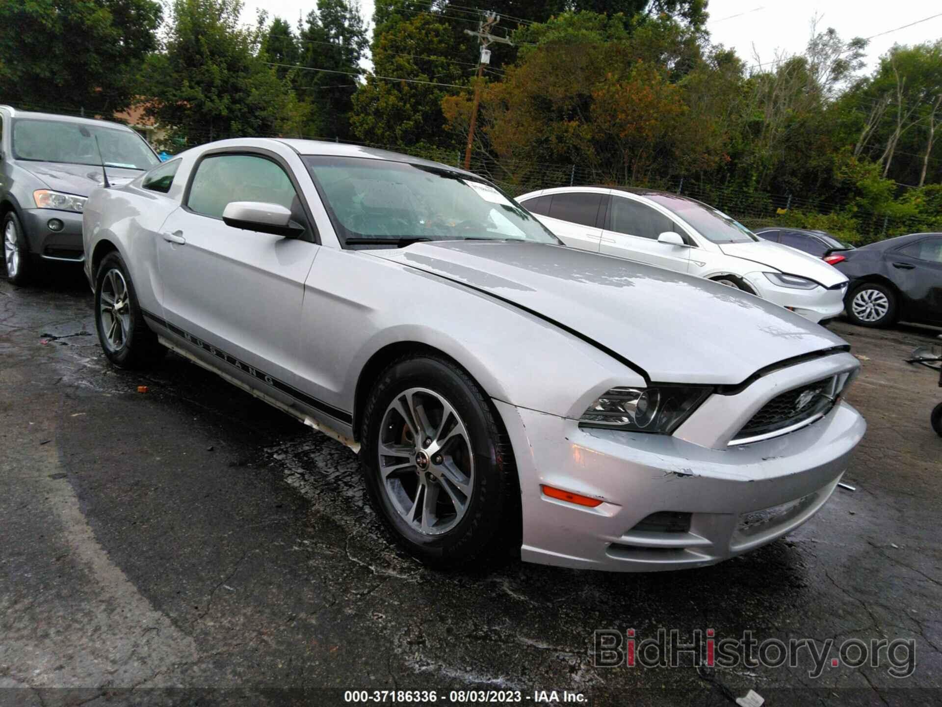 Photo 1ZVBP8AM3D5267563 - FORD MUSTANG 2013