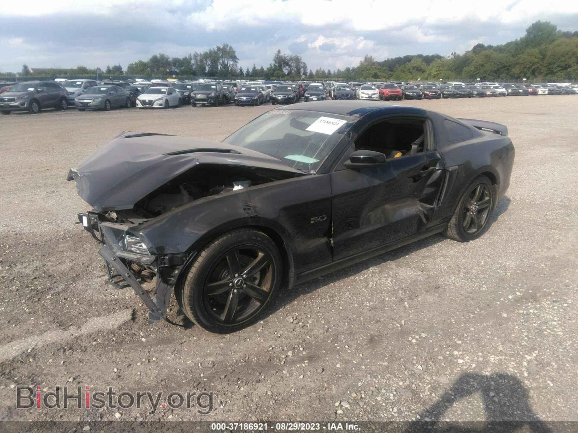 2013 FORD MUSTANG - VIN: 1ZVBP8CF1D5252977 - Фото 2