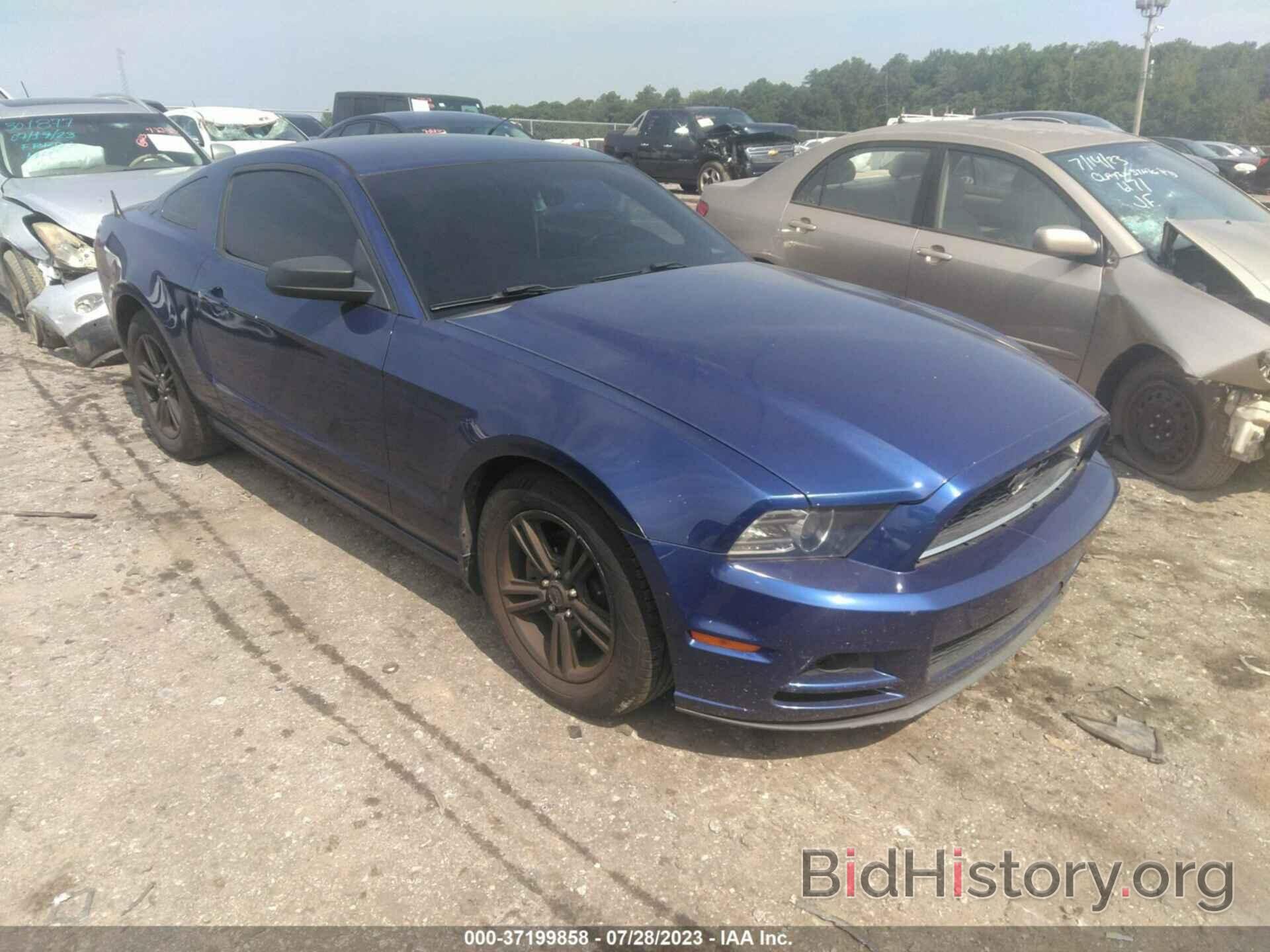 Photo 1ZVBP8AM3E5211656 - FORD MUSTANG 2014