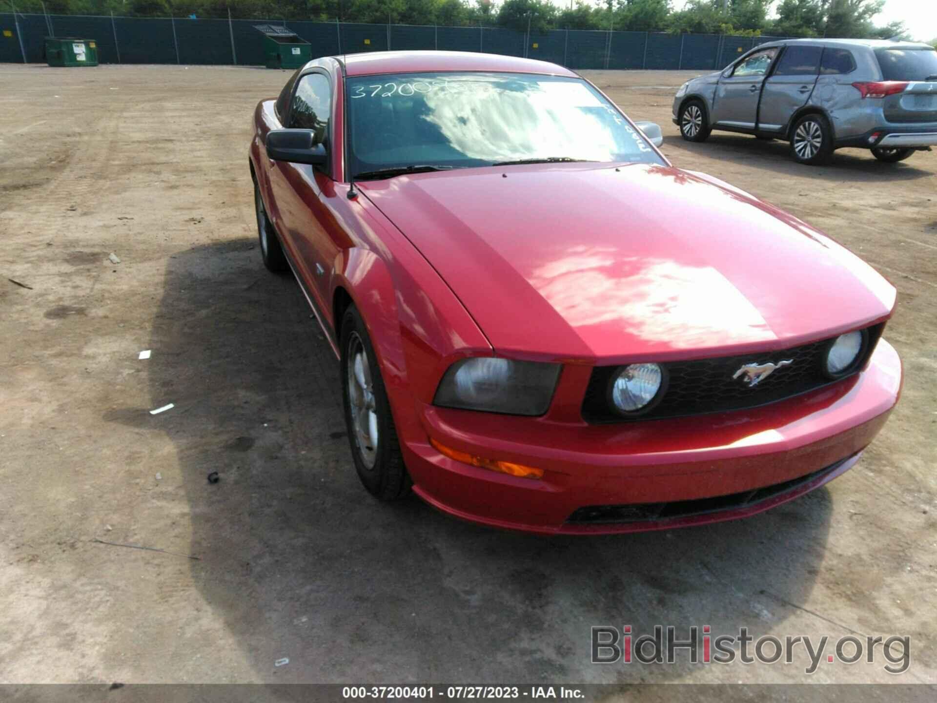 Фотография 1ZVHT82H385153298 - FORD MUSTANG 2008