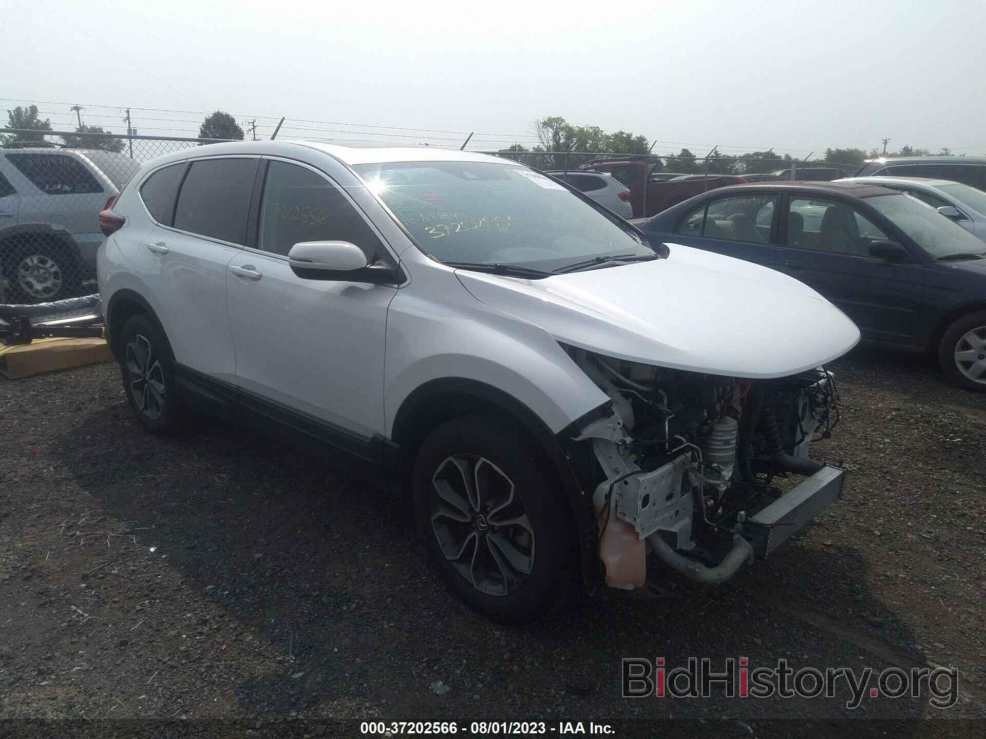 Photo 7FARW2H50ME008550 - HONDA CR-V 2021