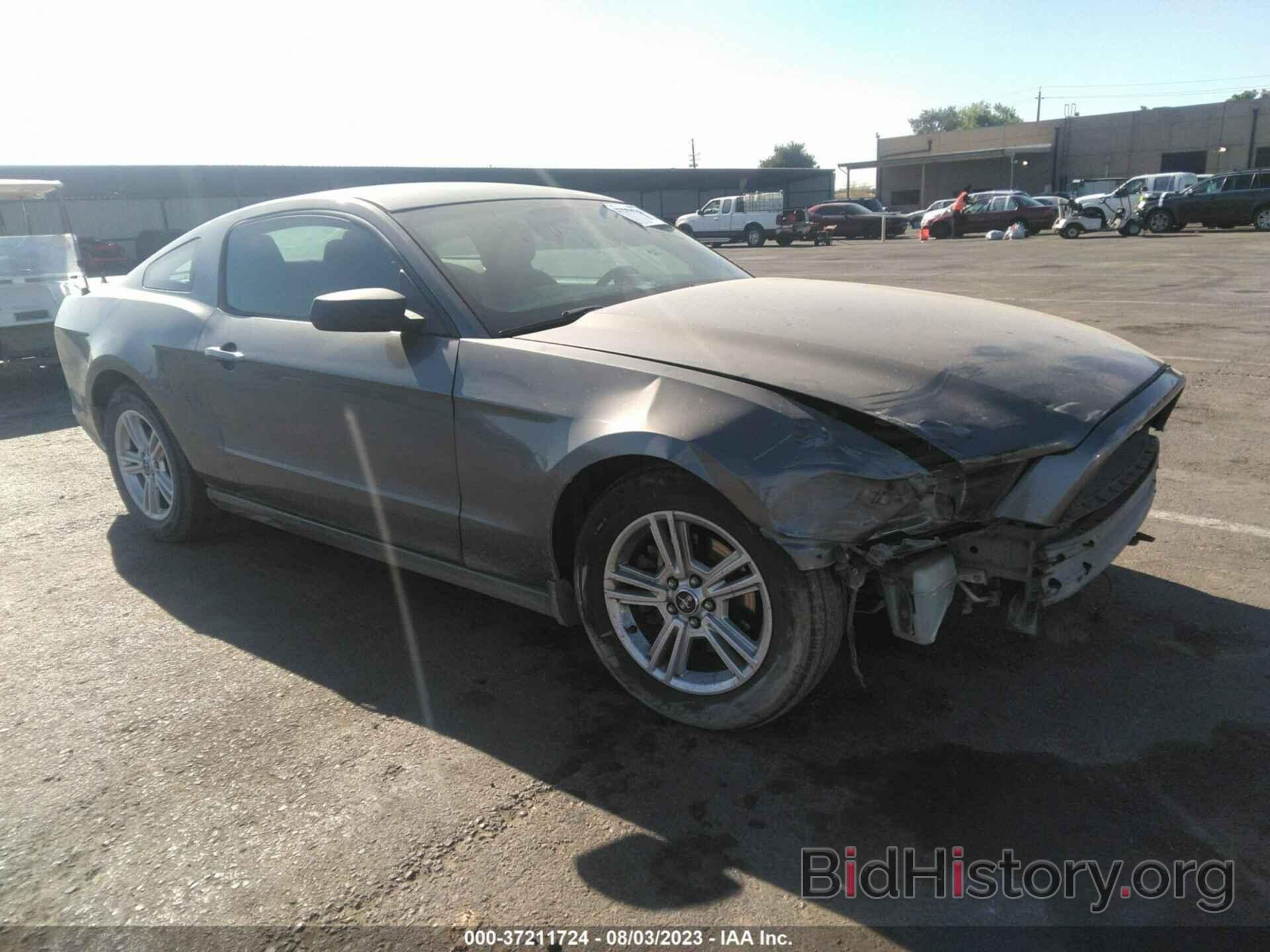 Photo 1ZVBP8AM5E5239765 - FORD MUSTANG 2014