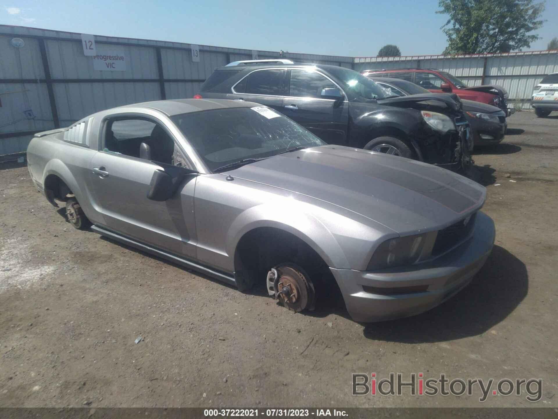Photo 1ZVHT80N485192345 - FORD MUSTANG 2008