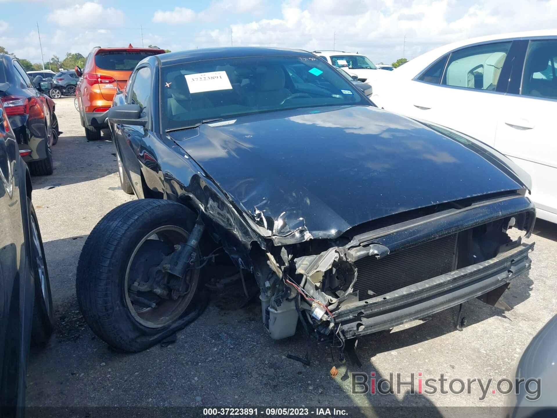 Photo 1ZVBP8AM1E5219383 - FORD MUSTANG 2014