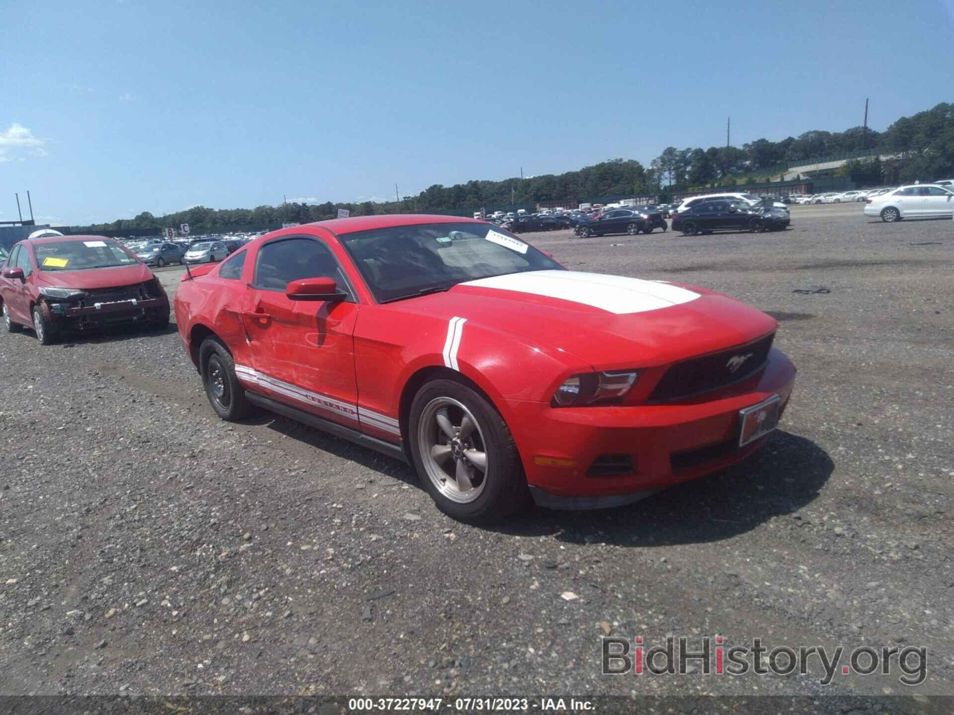 Photo 1ZVBP8AM4C5228480 - FORD MUSTANG 2012