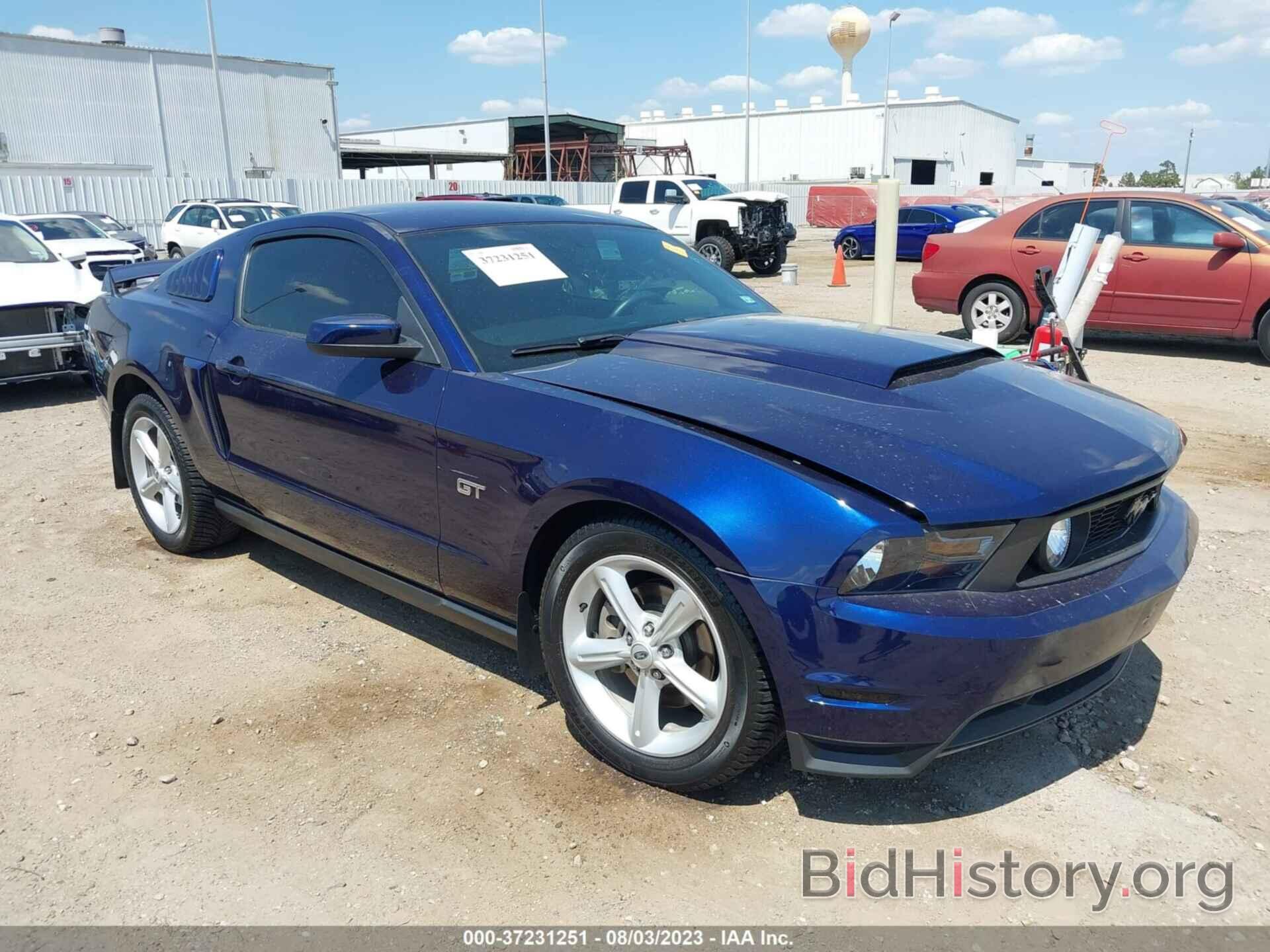 Photo 1ZVBP8CH7A5169003 - FORD MUSTANG 2010