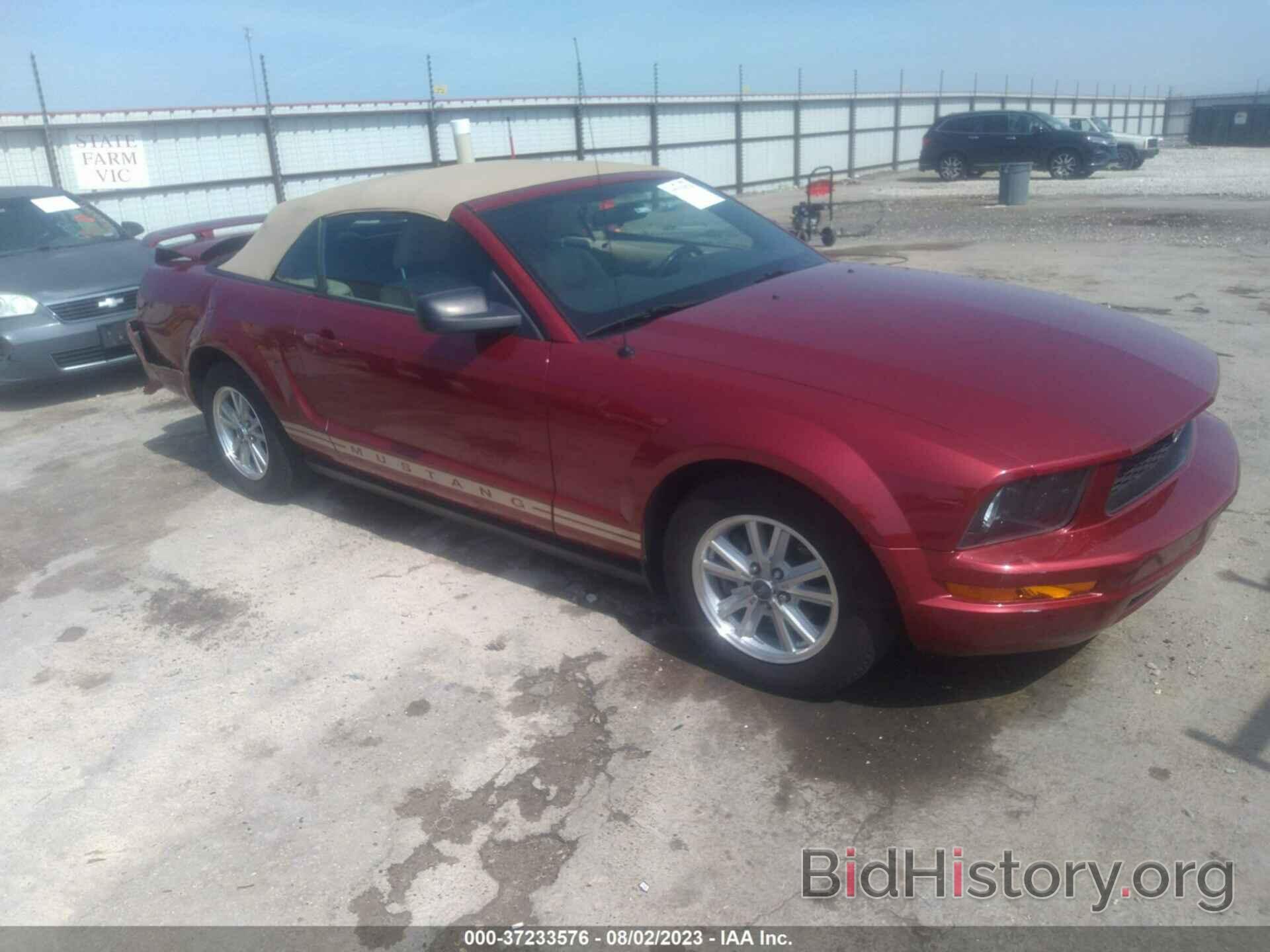 Photo 1ZVFT84NX65103408 - FORD MUSTANG 2006