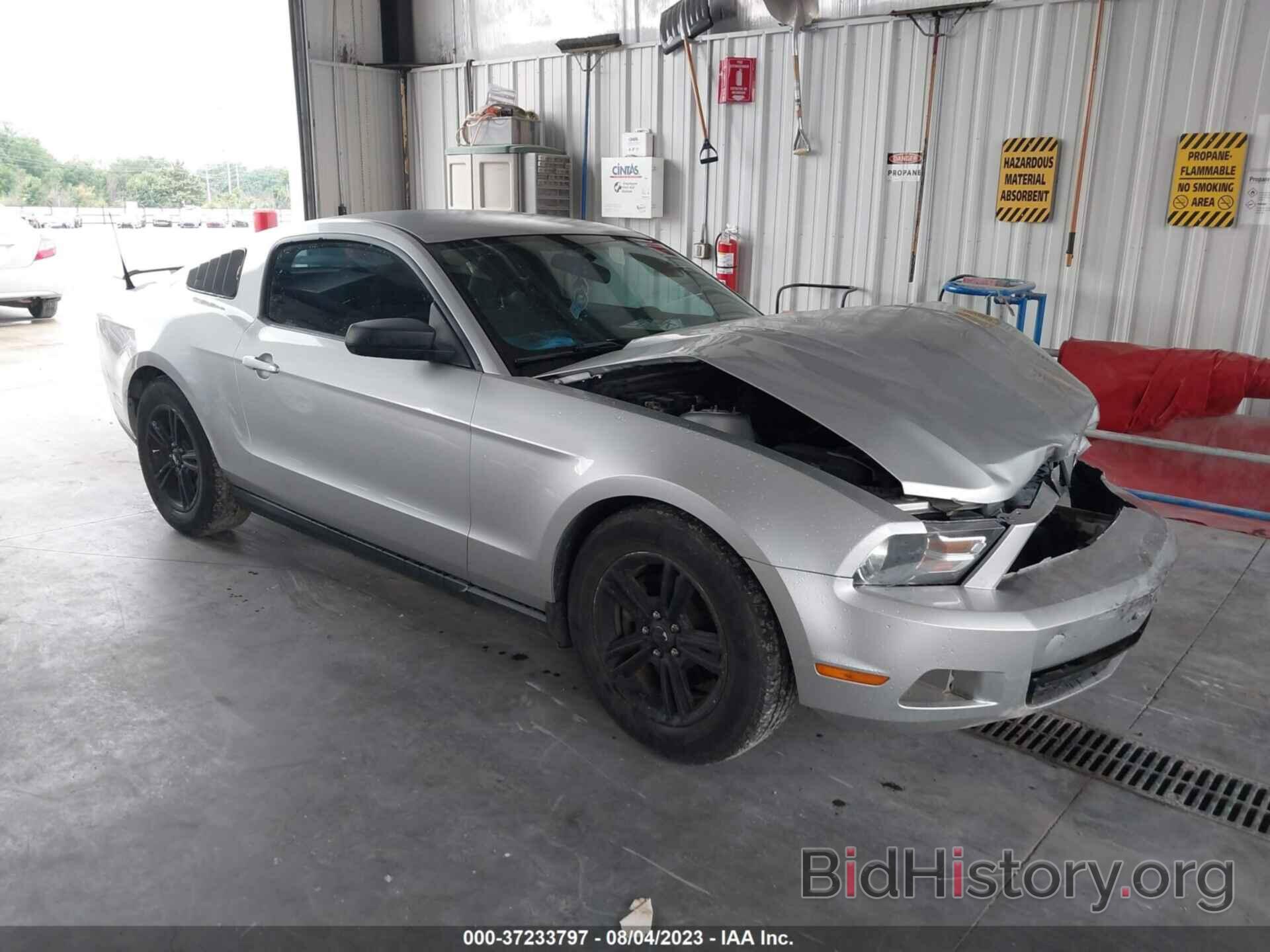 Photo 1ZVBP8AM5C5207007 - FORD MUSTANG 2012