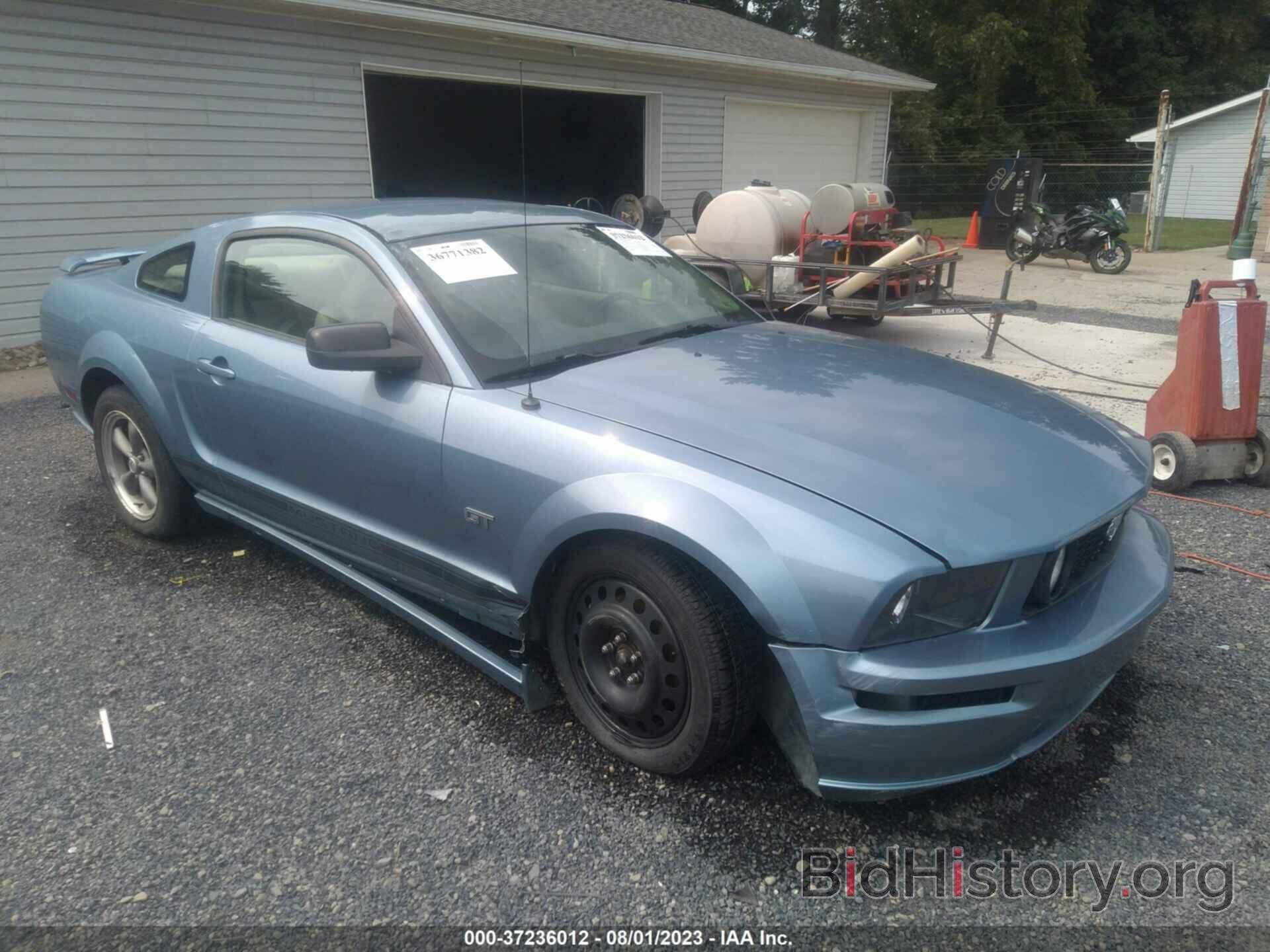 Photo 1ZVFT82H465240647 - FORD MUSTANG 2006