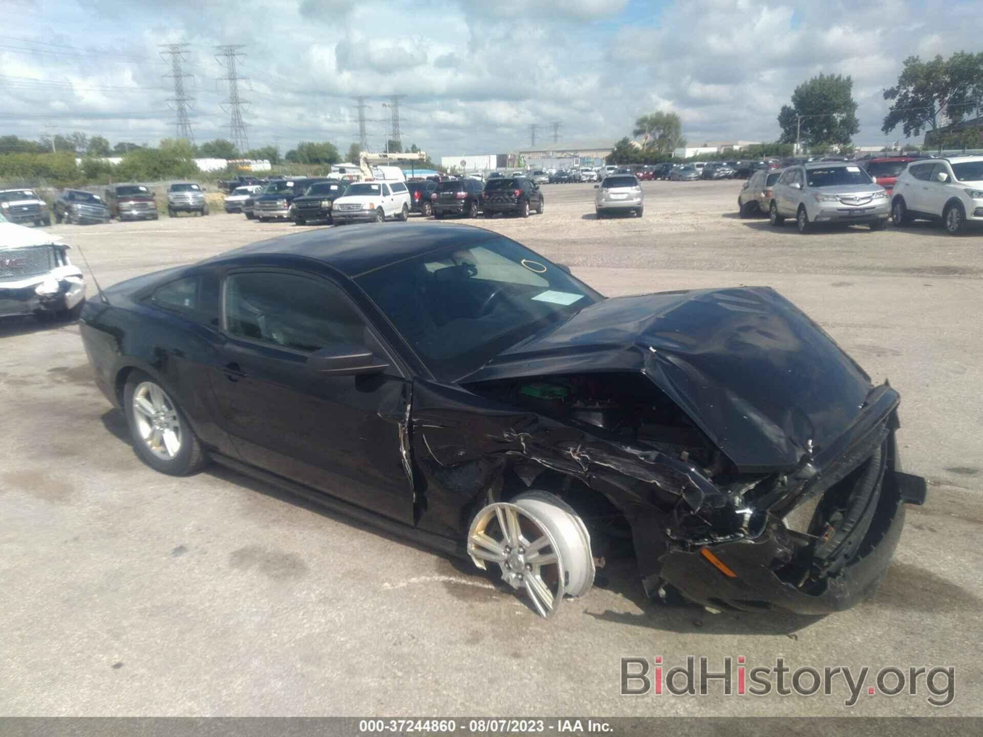 Photo 1ZVBP8AM3E5208689 - FORD MUSTANG 2014