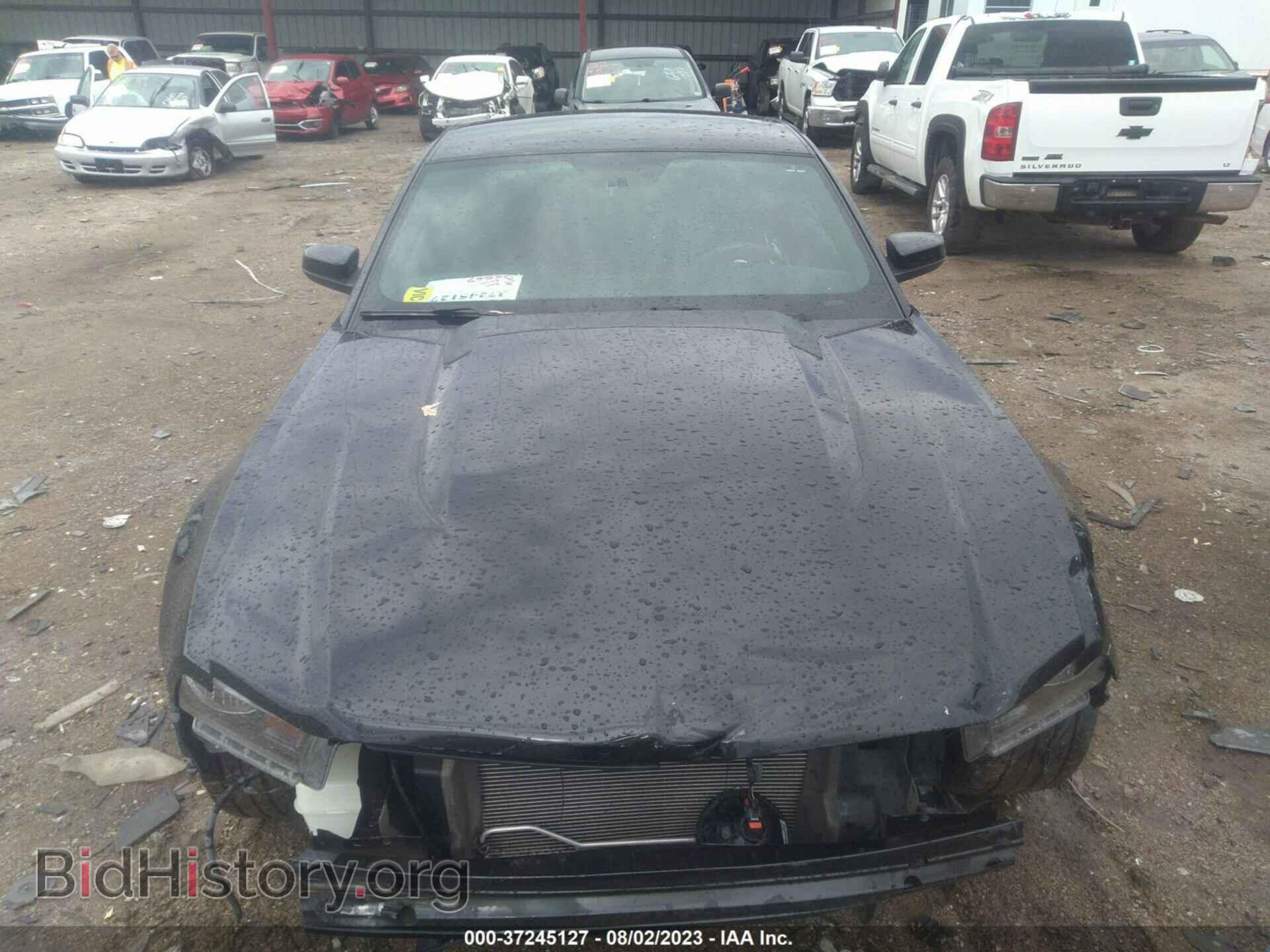 2010 FORD MUSTANG - VIN: 1ZVBP8CH2A5161908 - Фото 12