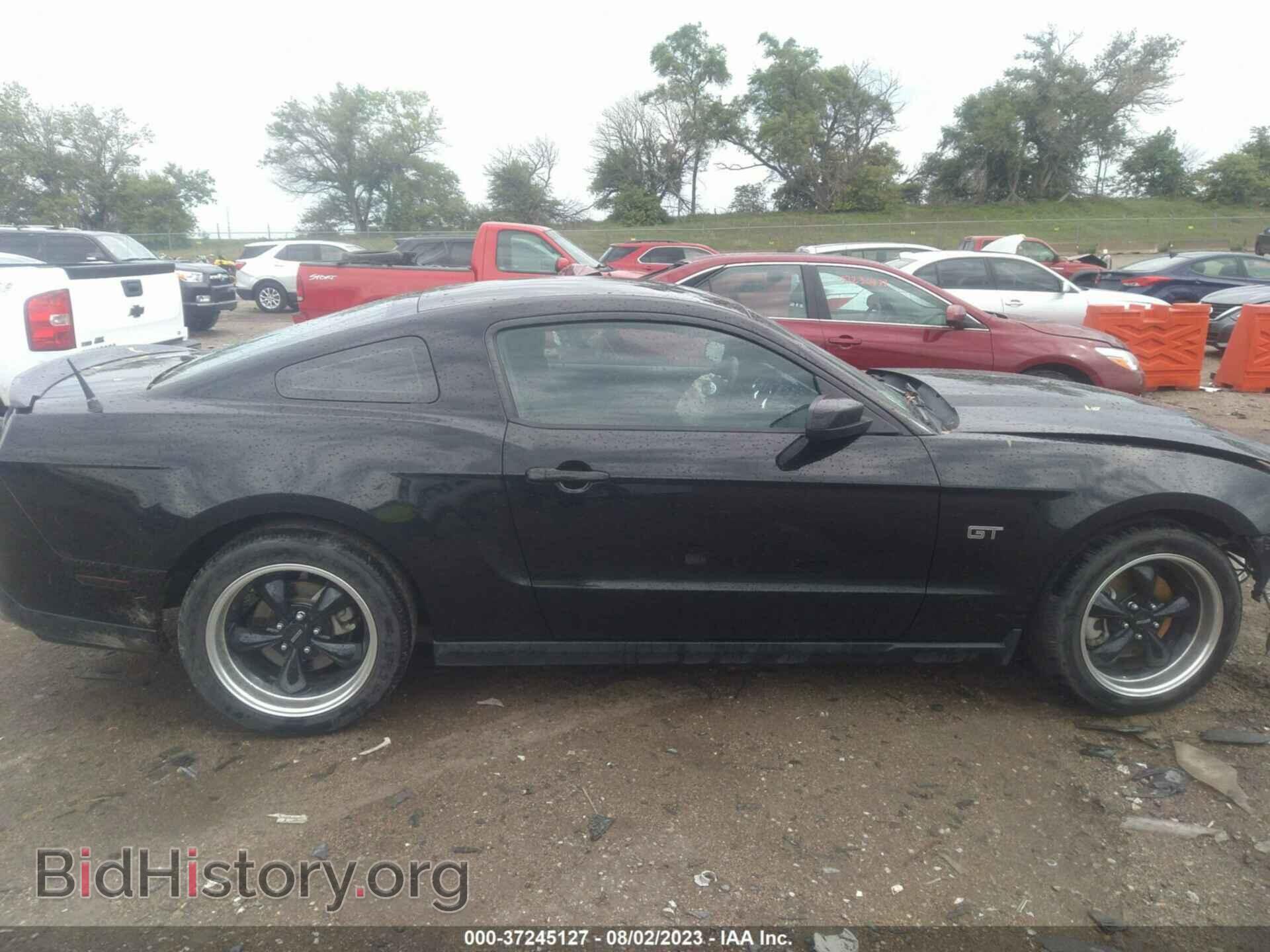 2010 FORD MUSTANG - VIN: 1ZVBP8CH2A5161908 - Фото 13