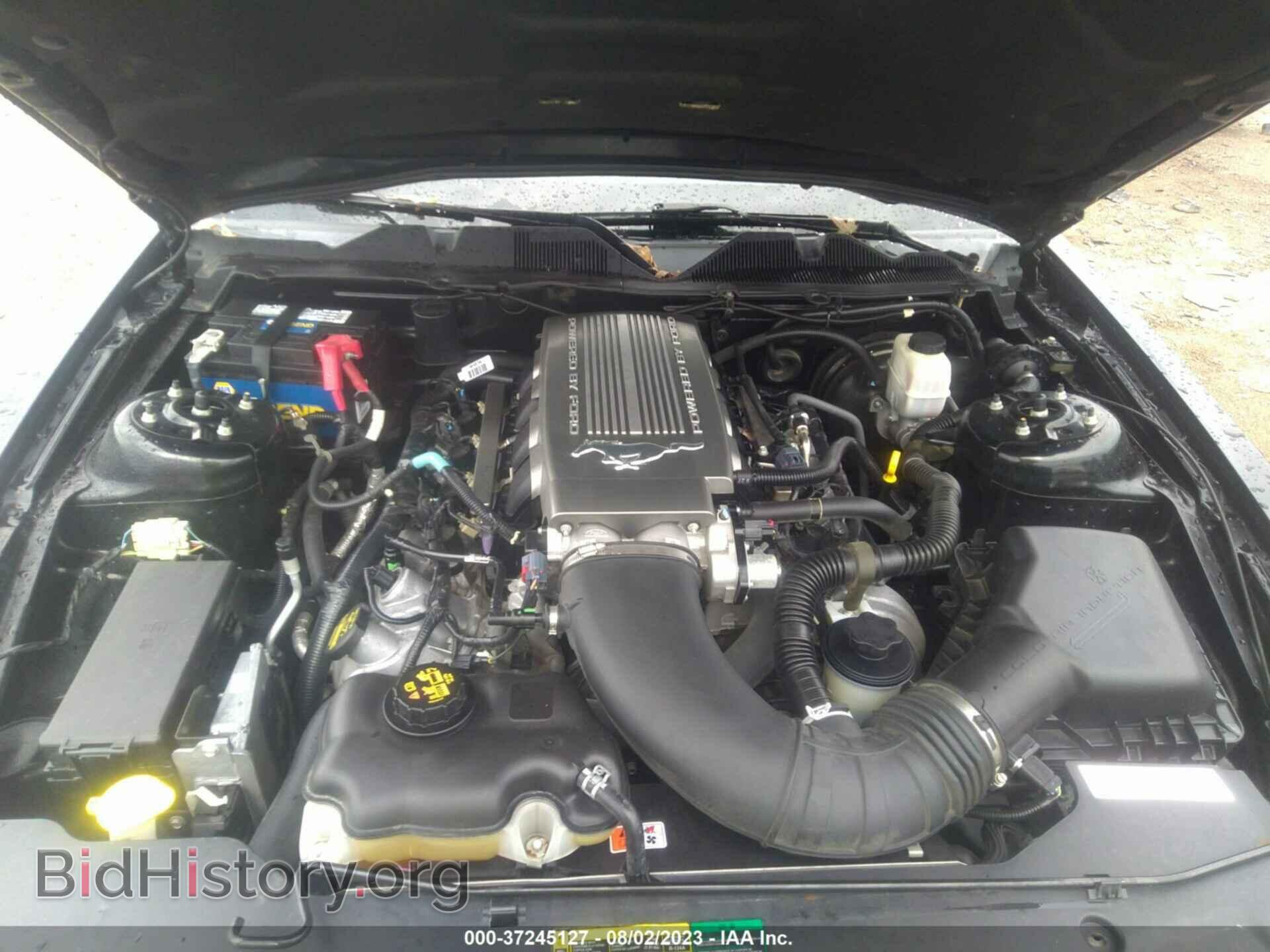 2010 FORD MUSTANG - VIN: 1ZVBP8CH2A5161908 - Фото 10