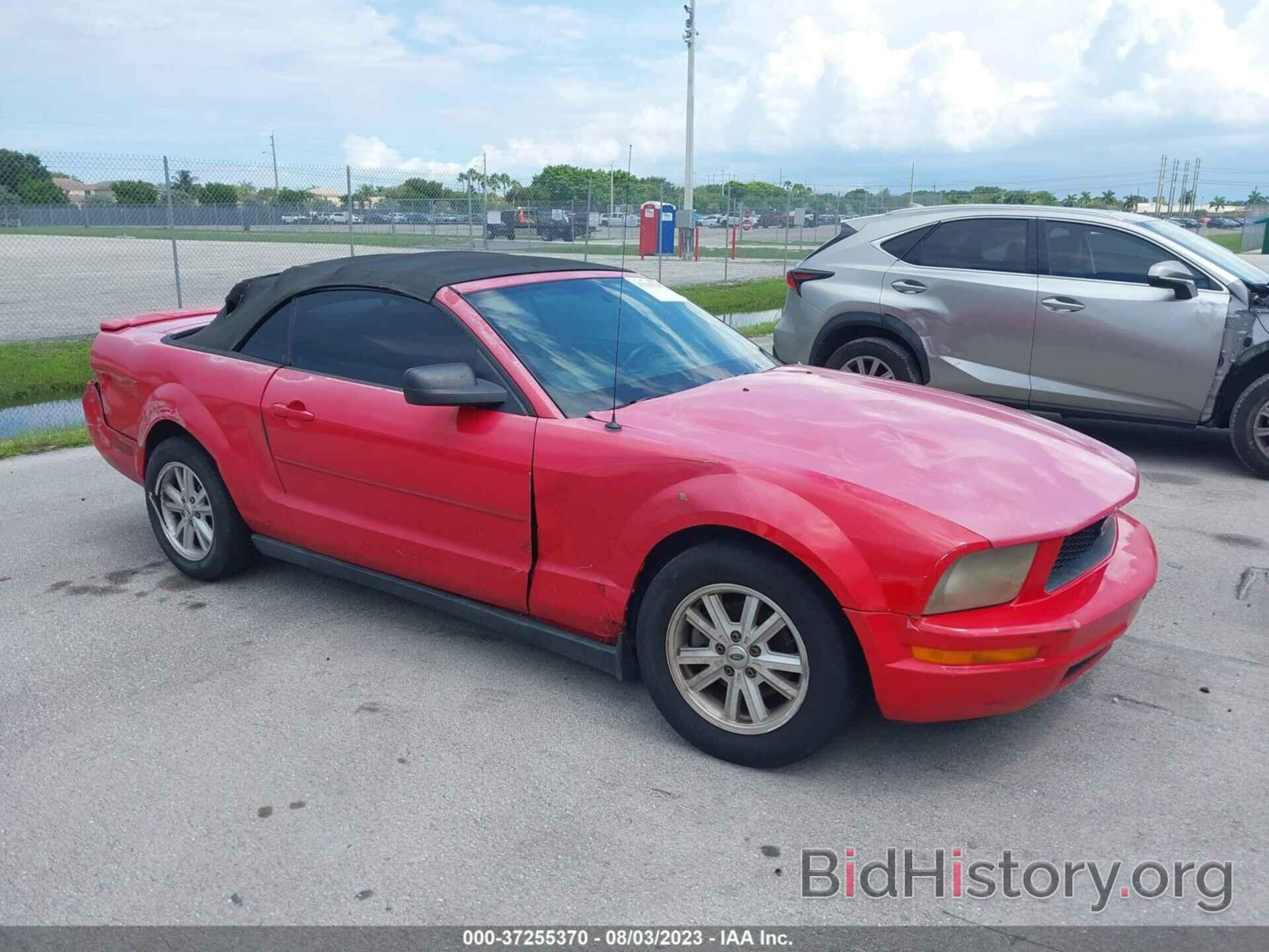 Photo 1ZVFT84N975262454 - FORD MUSTANG 2007