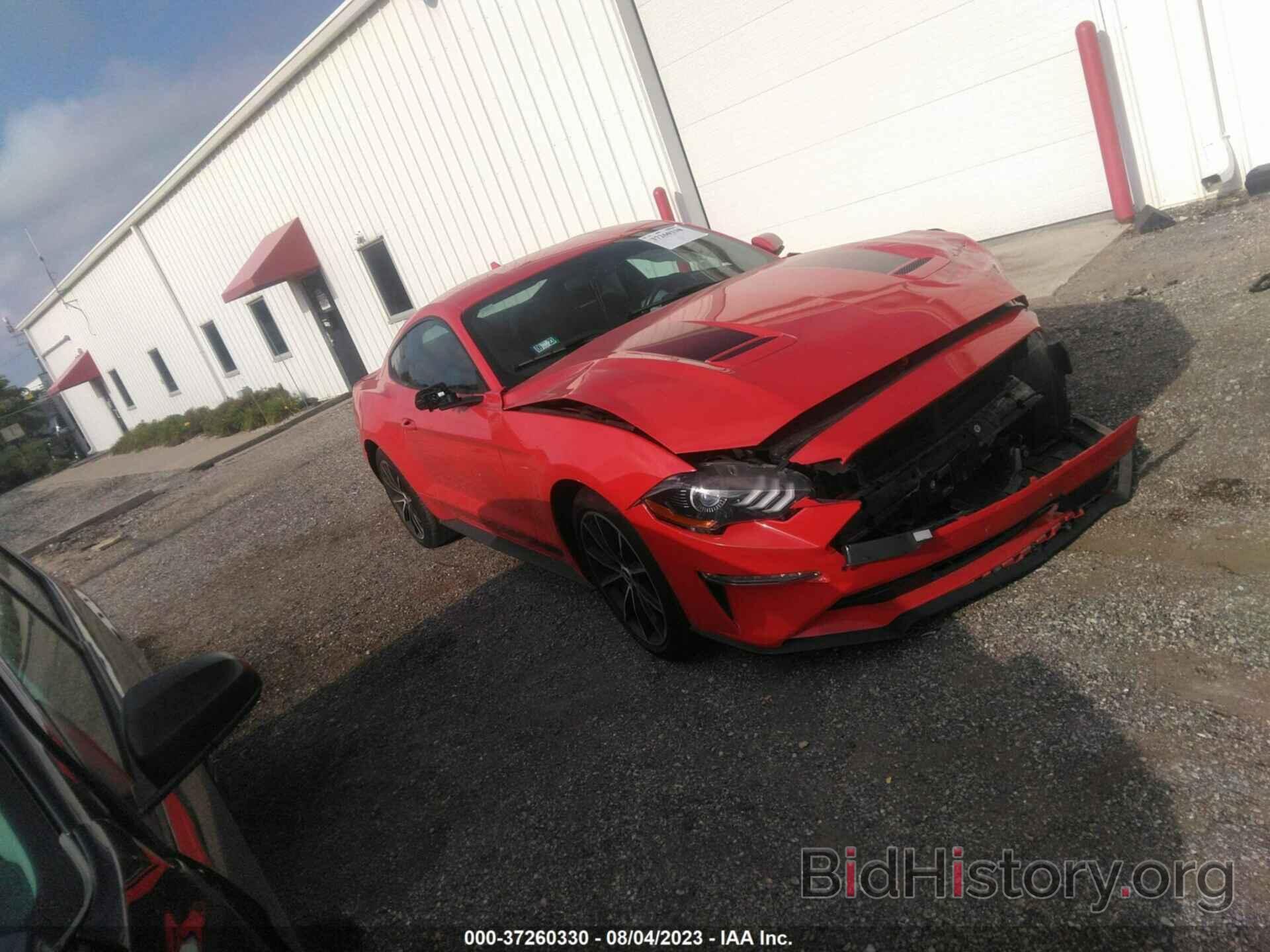 Photo 1FA6P8TH5L5178439 - FORD MUSTANG 2020