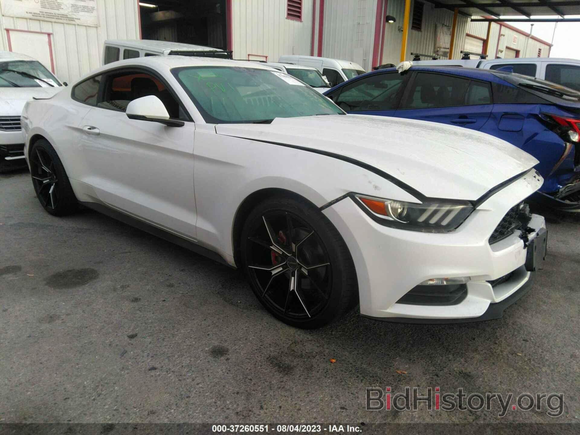 Photo 1FA6P8AM1H5239583 - FORD MUSTANG 2017