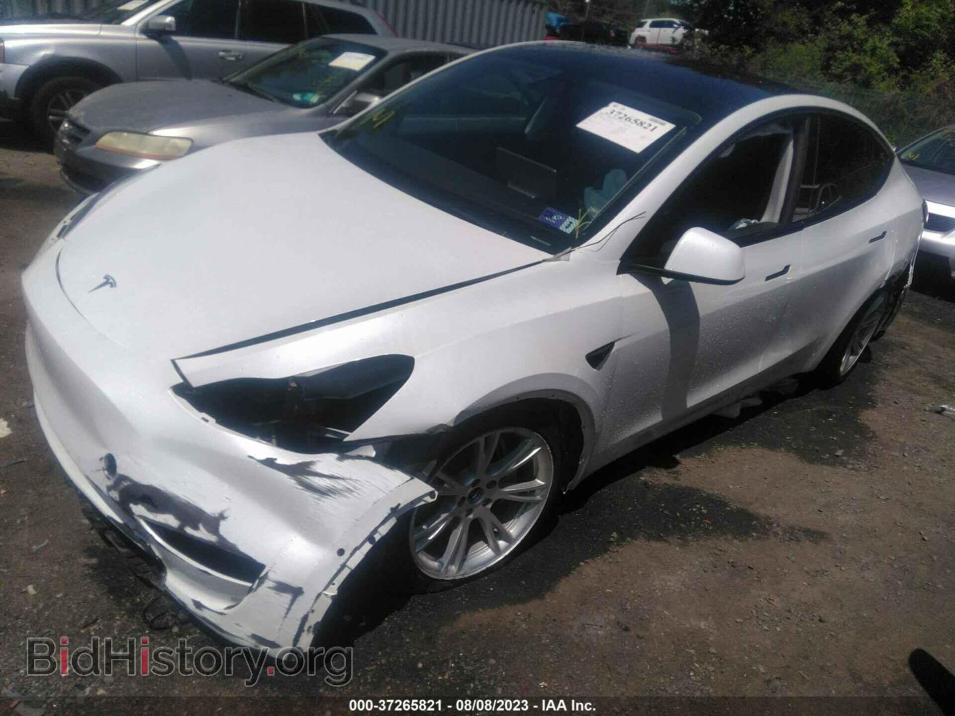 2022 TESLA MODEL Y - VIN: 7SAYGDEE1NF322488 - Фото 6