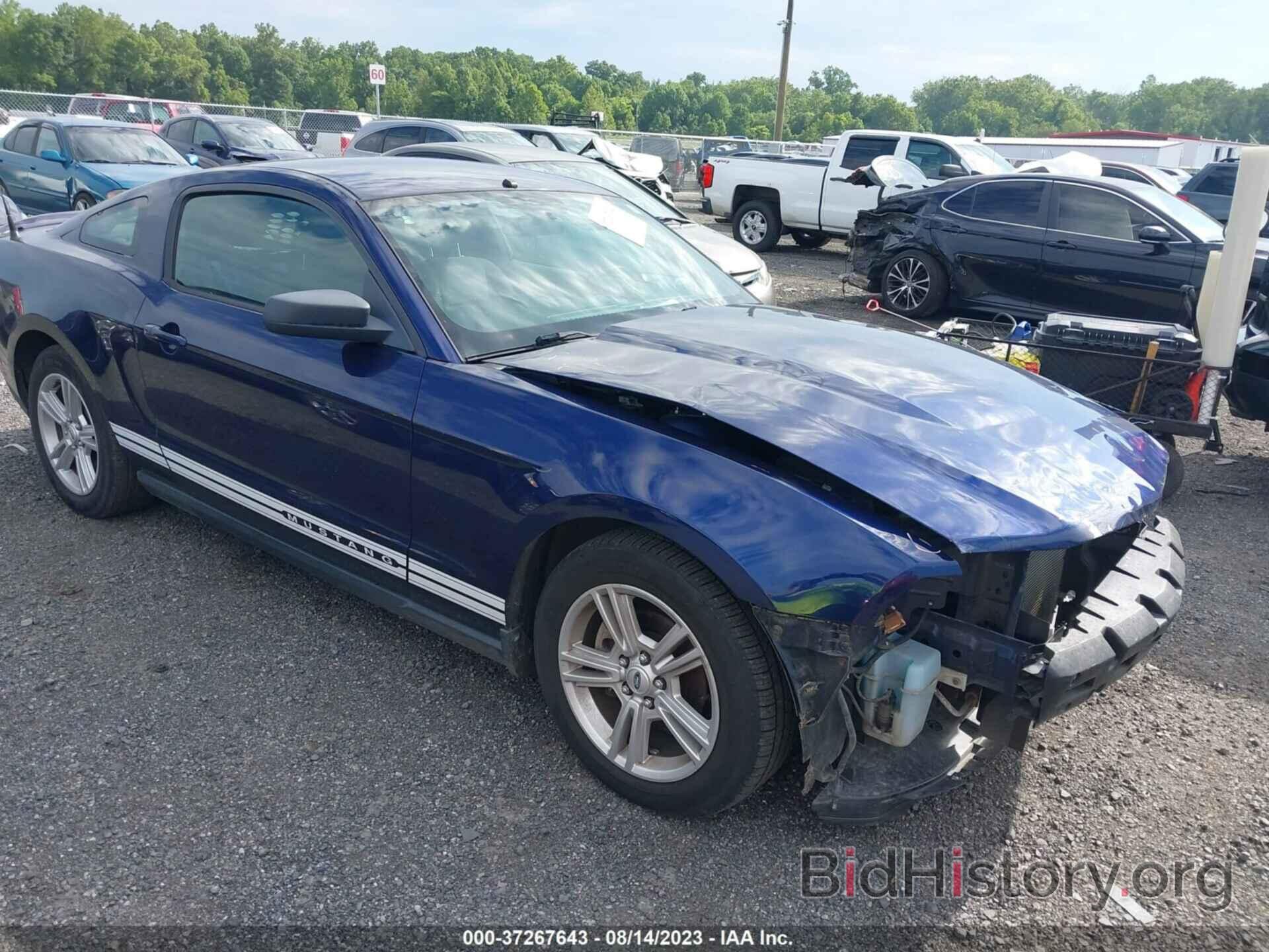 Photo 1ZVBP8AN4A5165449 - FORD MUSTANG 2010